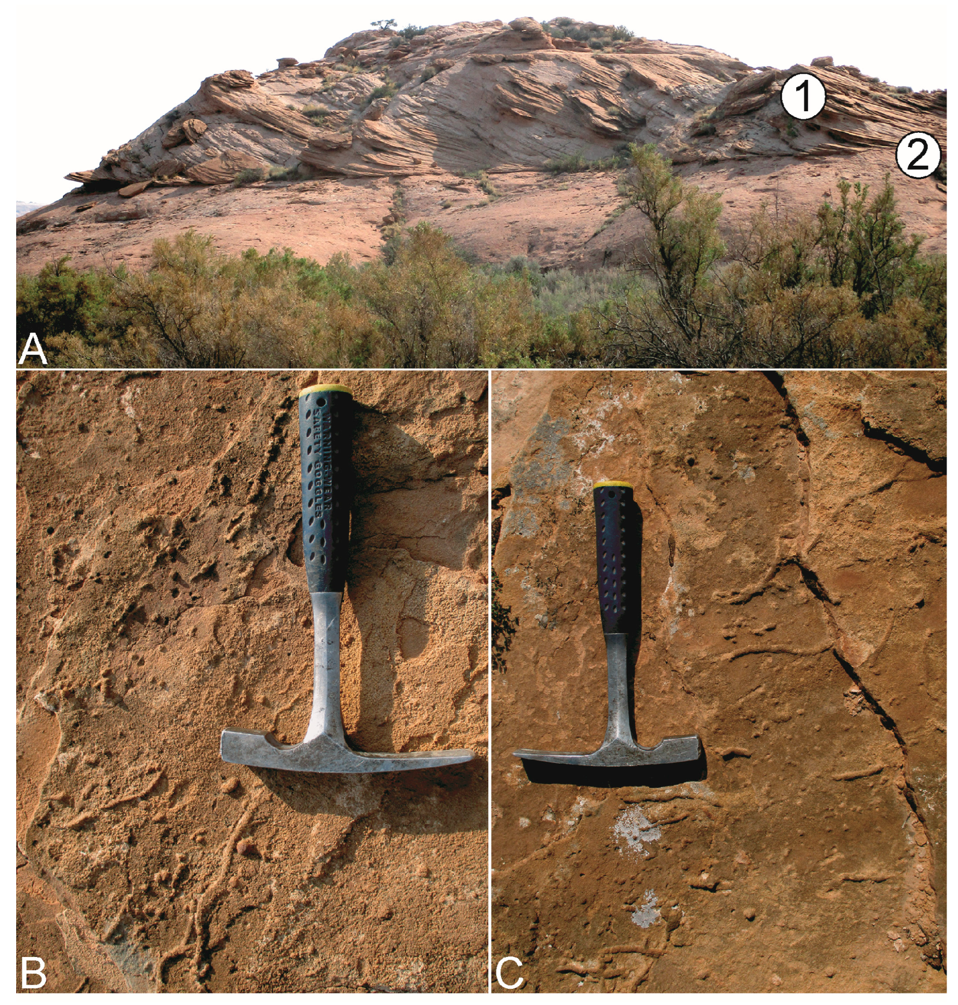 Geosciences 14 00246 g004