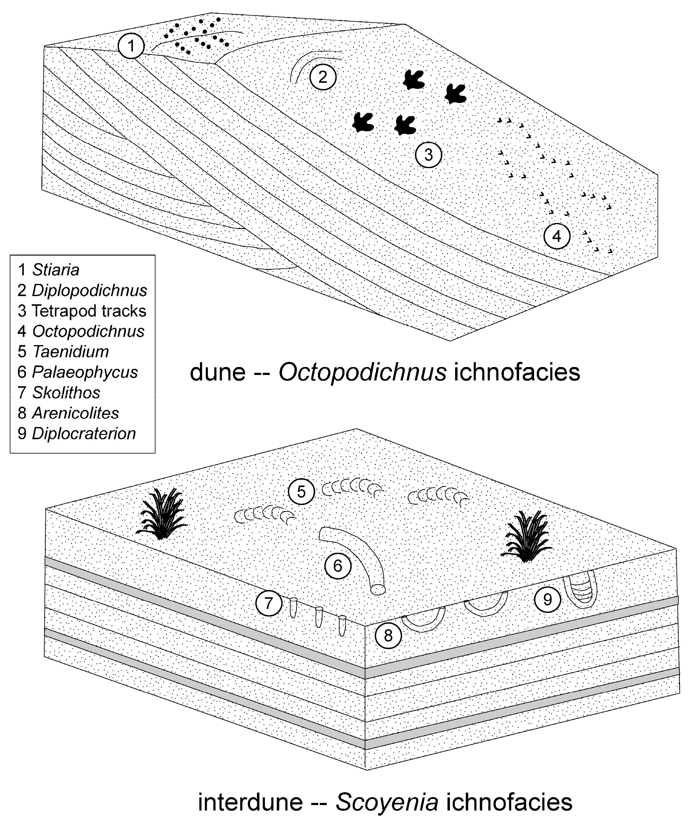Geosciences 14 00246 g005