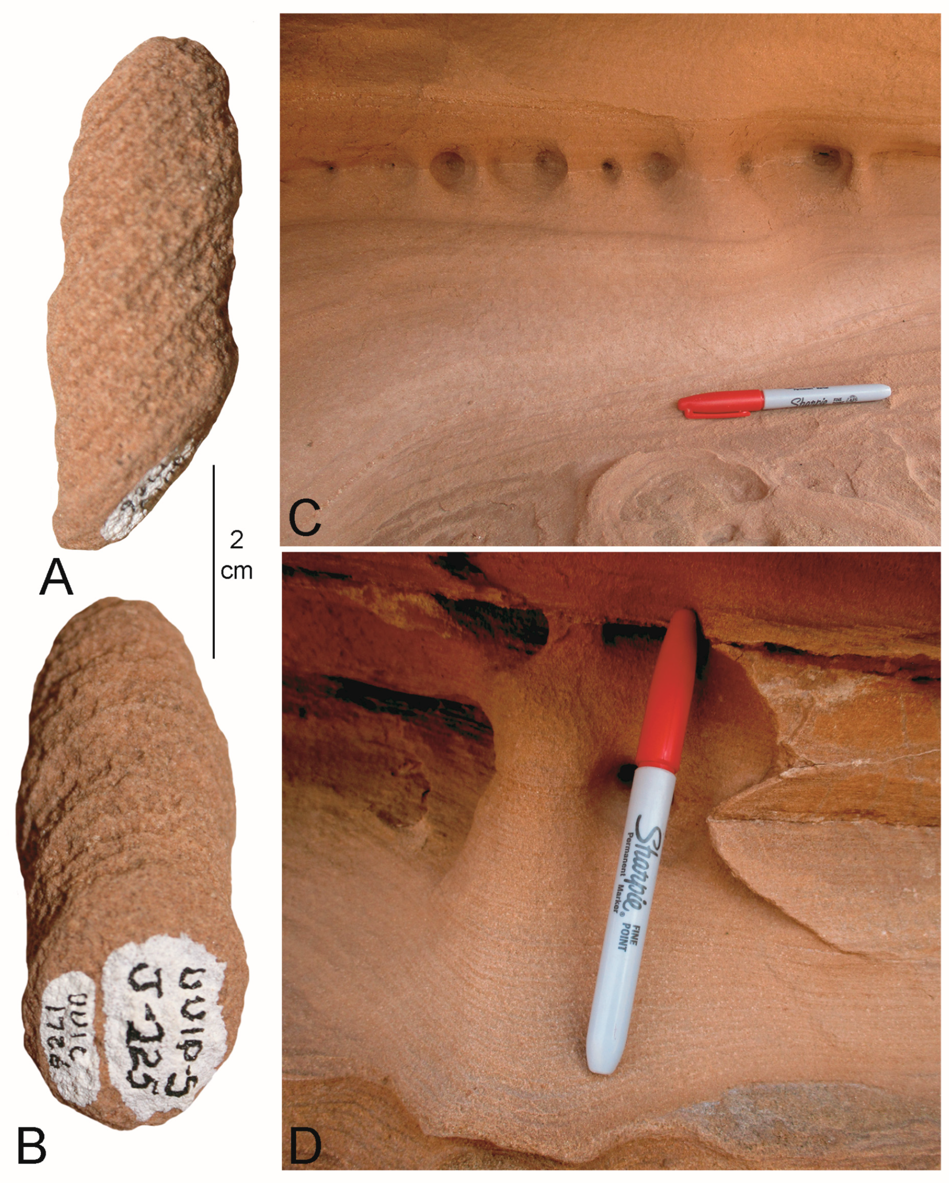 Geosciences 14 00246 g0a1