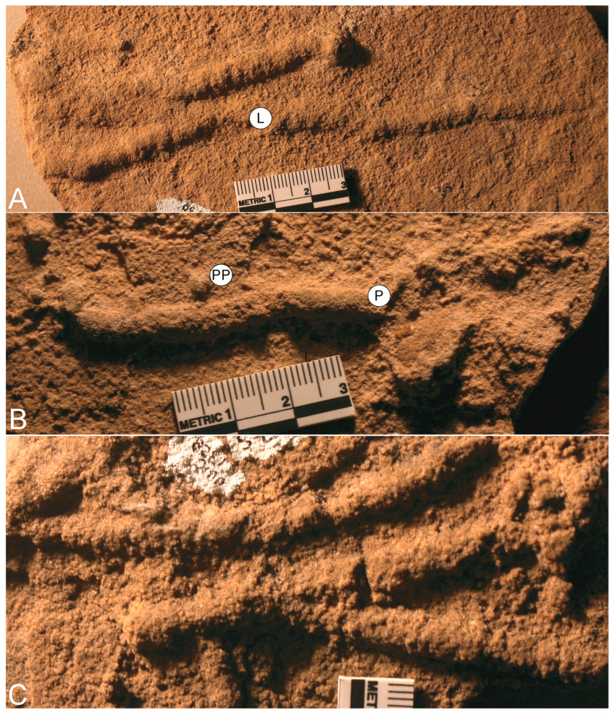Geosciences 14 00246 g0a2