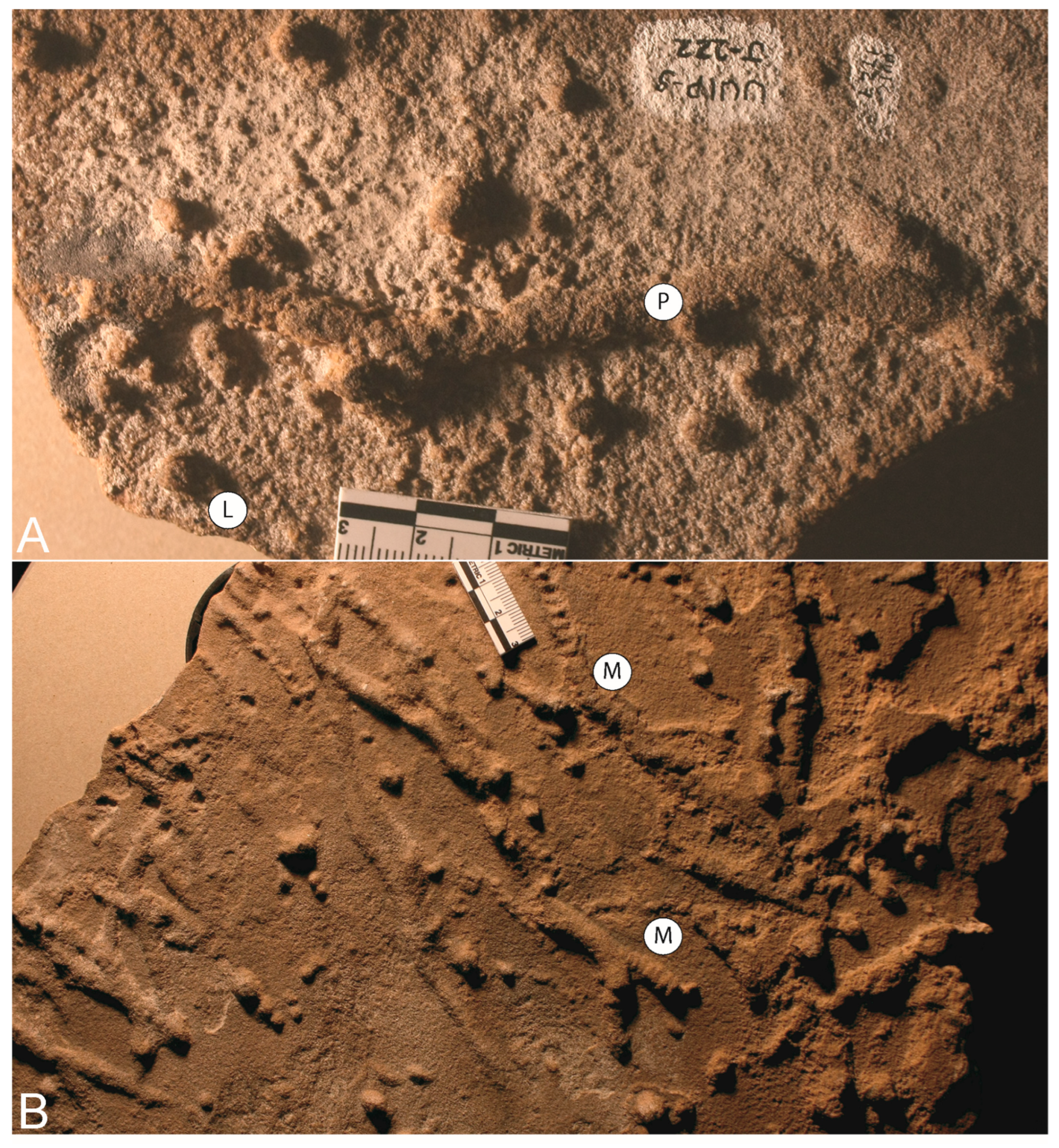 Geosciences 14 00246 g0a3