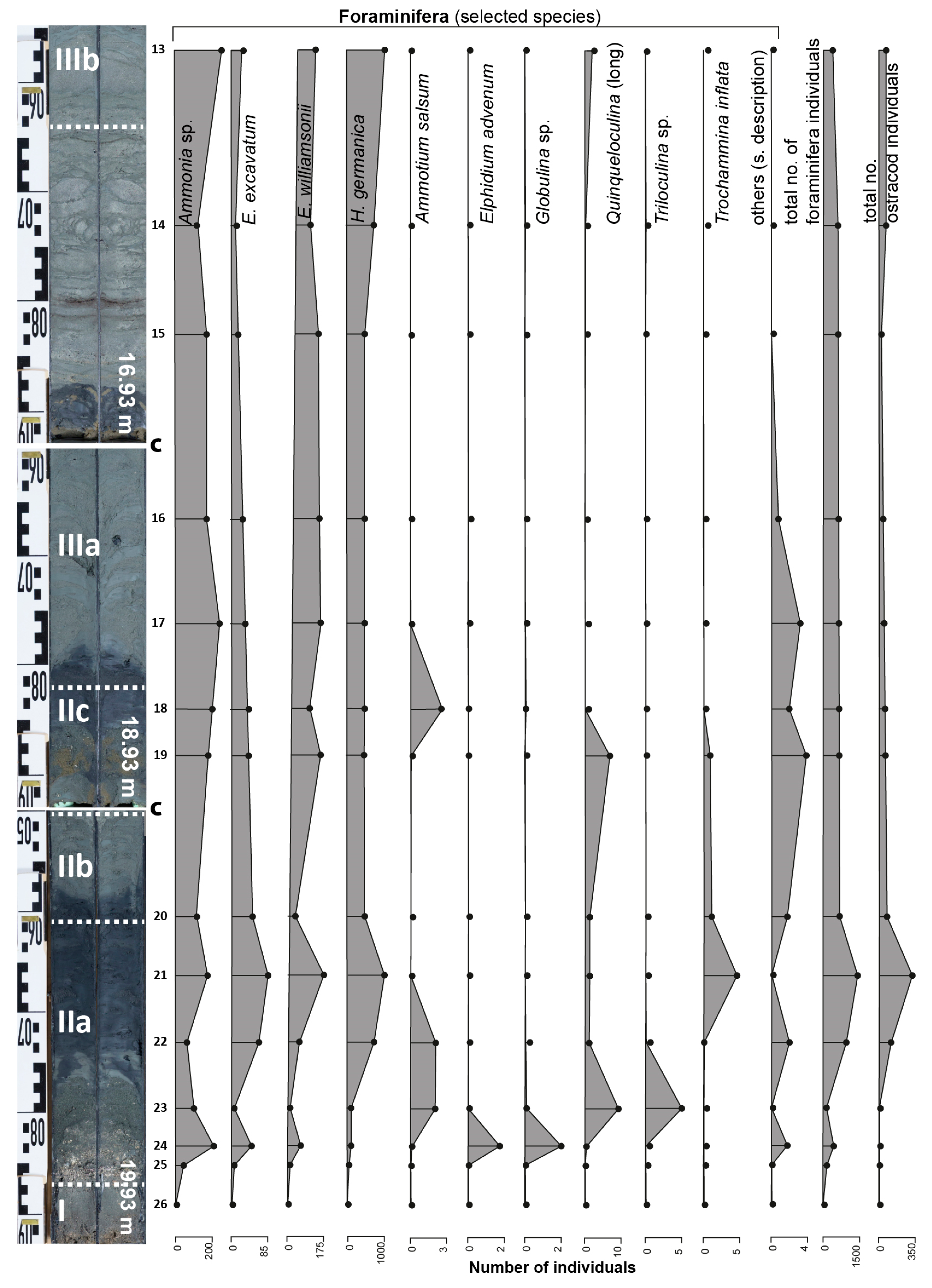 Geosciences 14 00262 g010