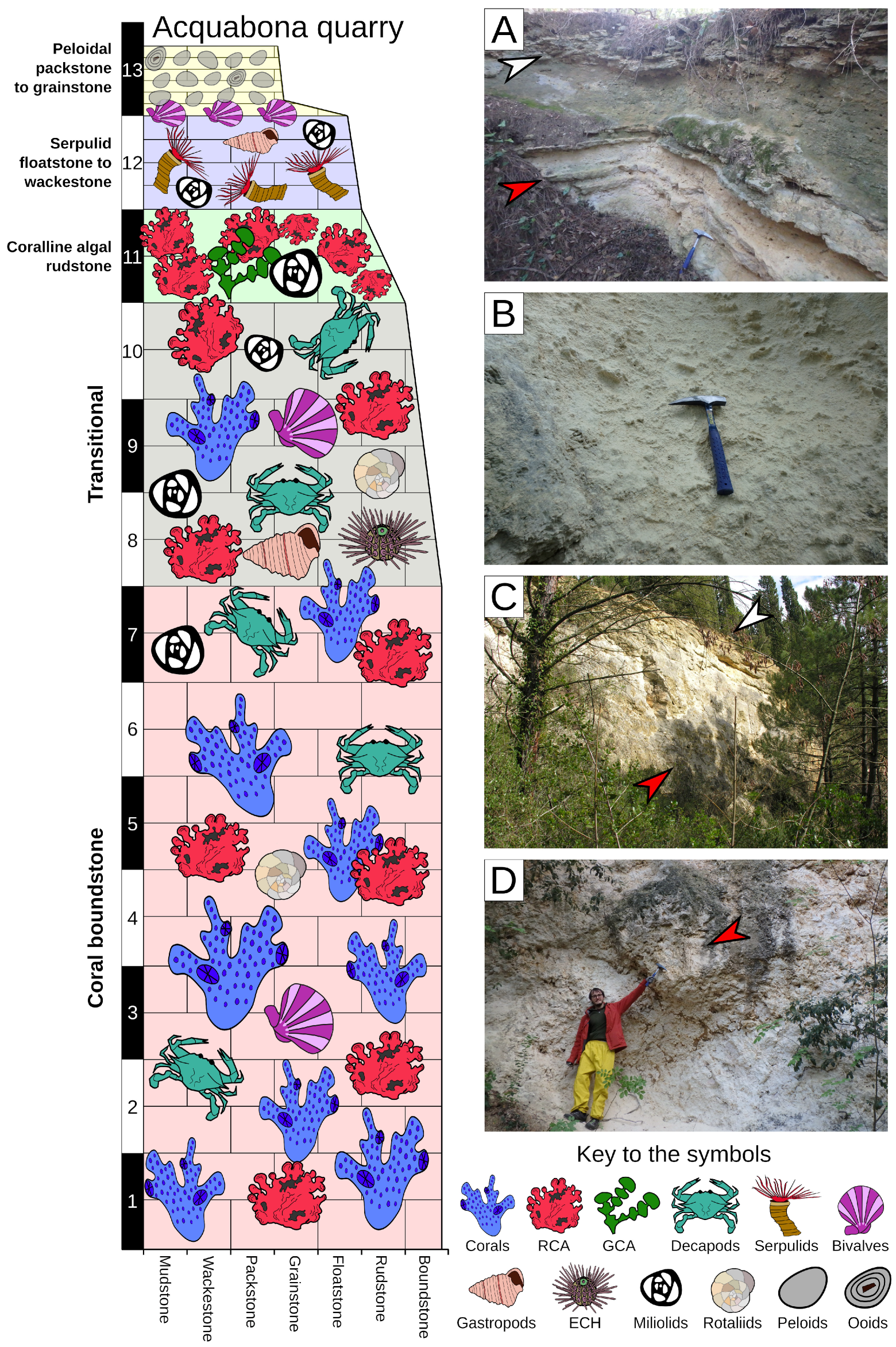 Geosciences 14 00285 g003