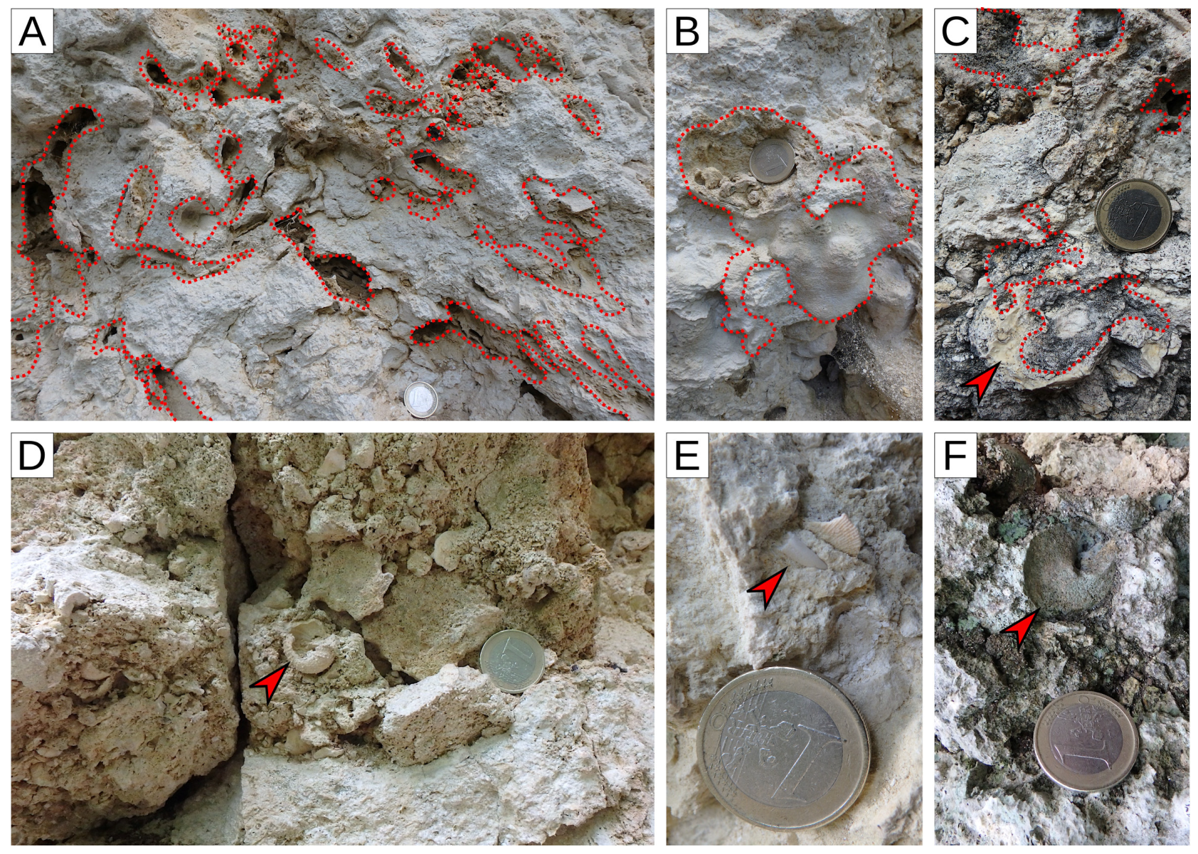 Geosciences 14 00285 g004