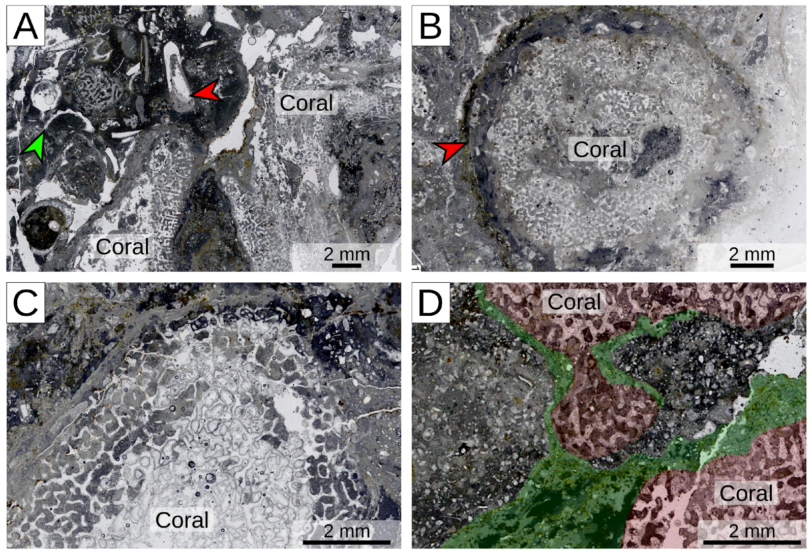 Geosciences 14 00285 g005