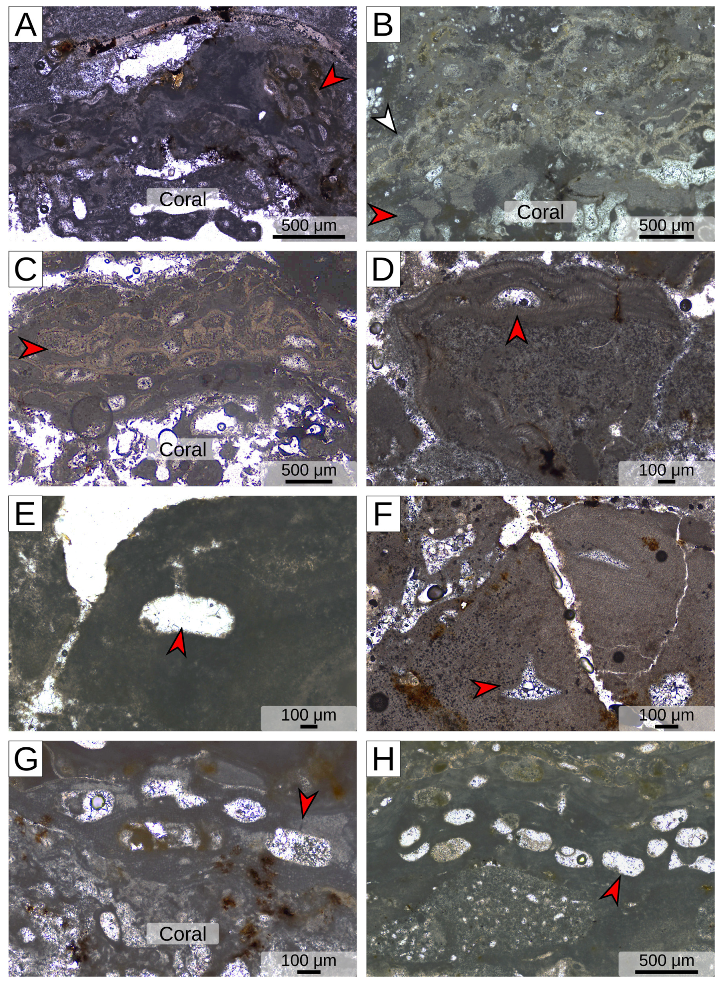 Geosciences 14 00285 g006