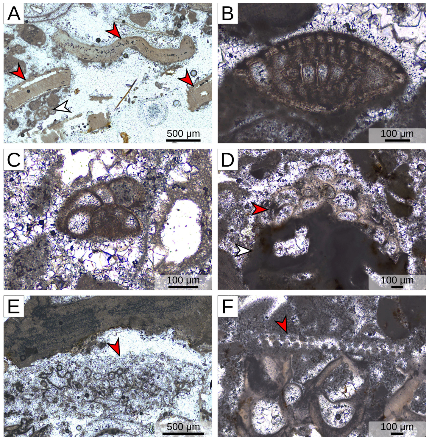 Geosciences 14 00285 g007