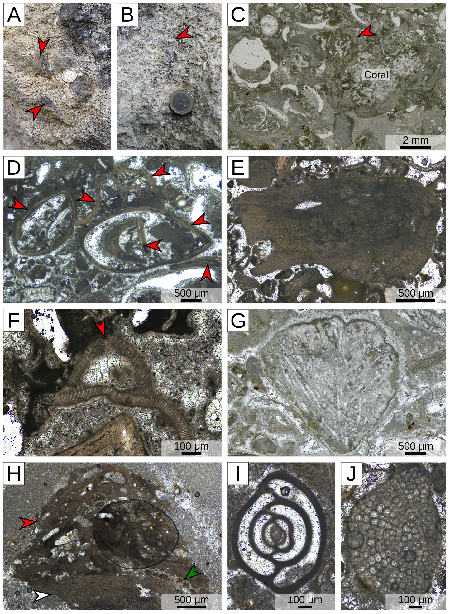 Geosciences 14 00285 g008