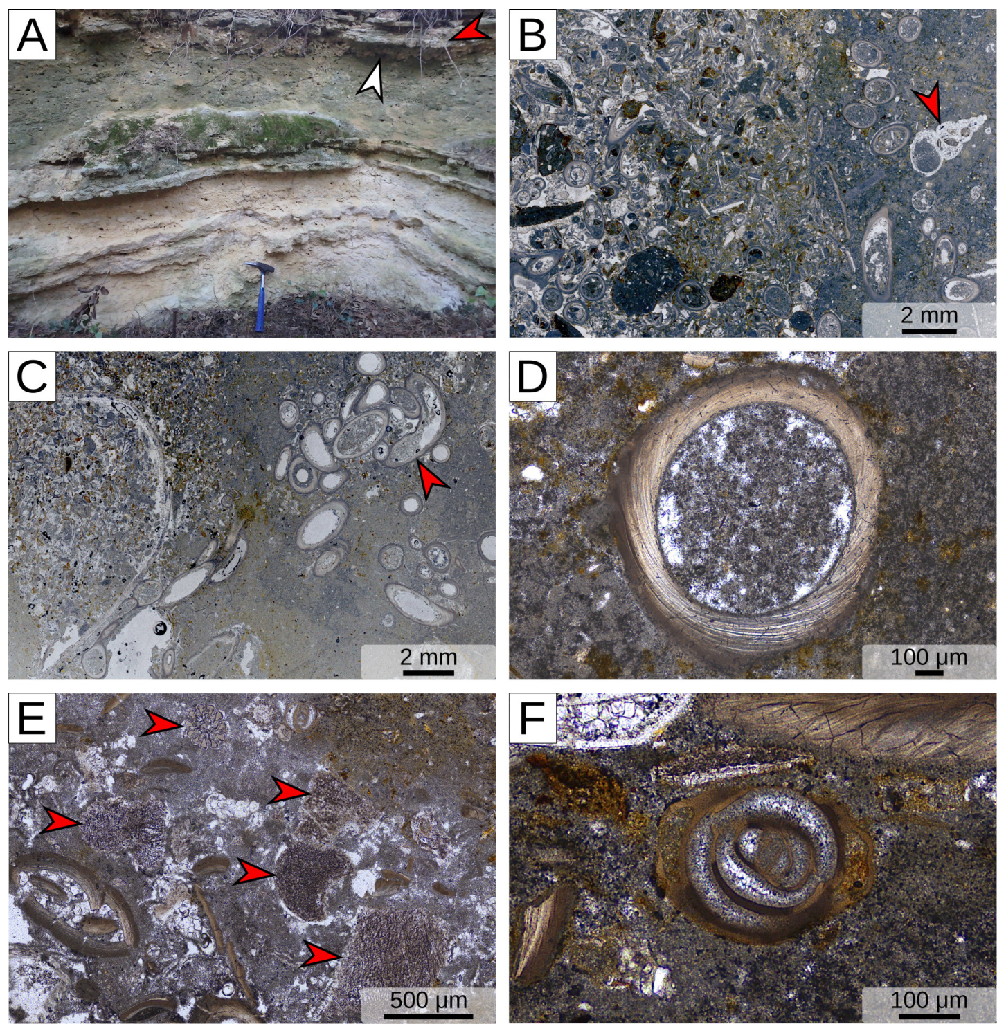 Geosciences 14 00285 g010