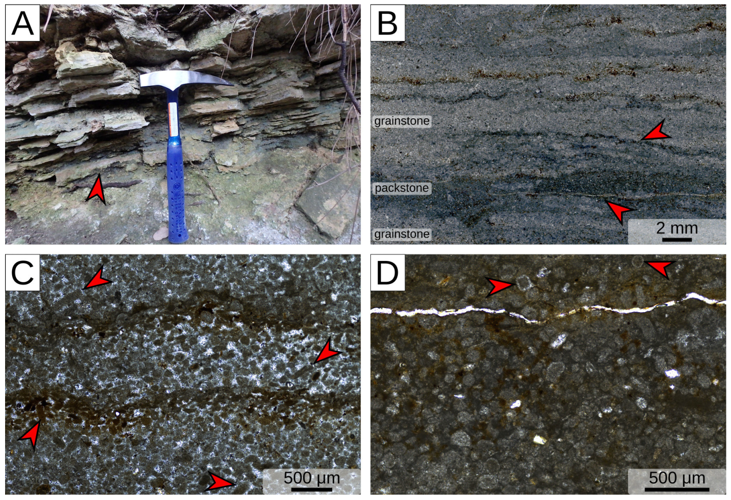 Geosciences 14 00285 g011