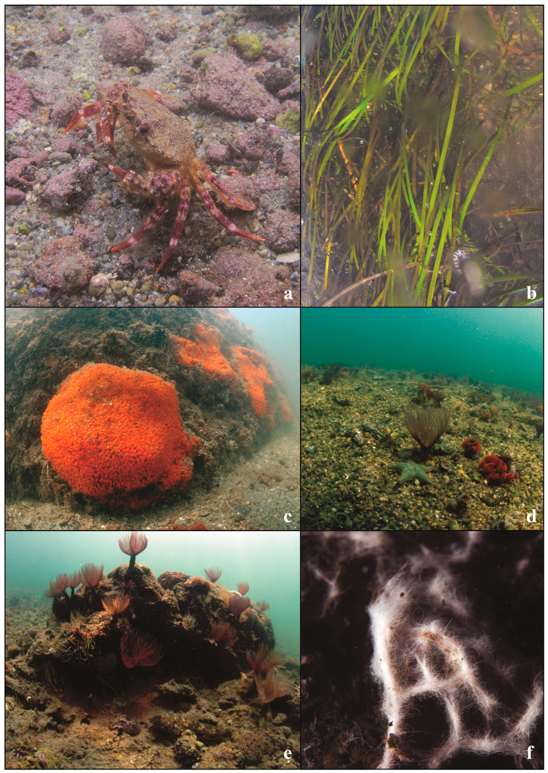 Geosciences 14 00319 g009