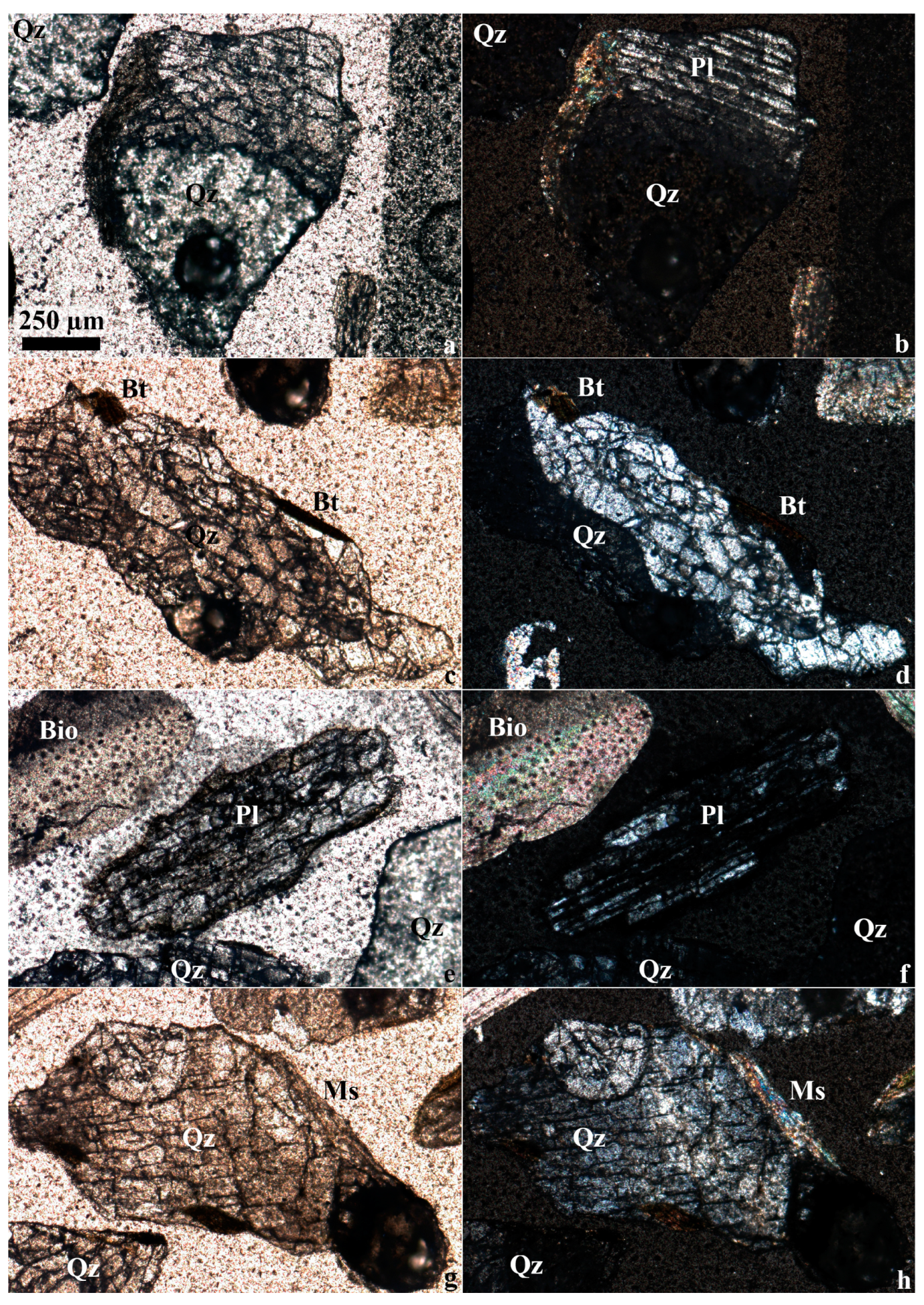 Geosciences 14 00319 g012