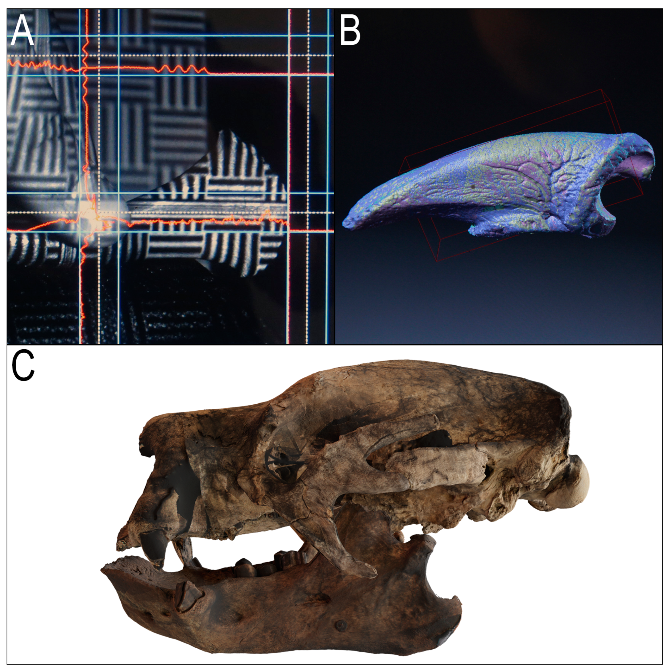 Geosciences 14 00321 g002