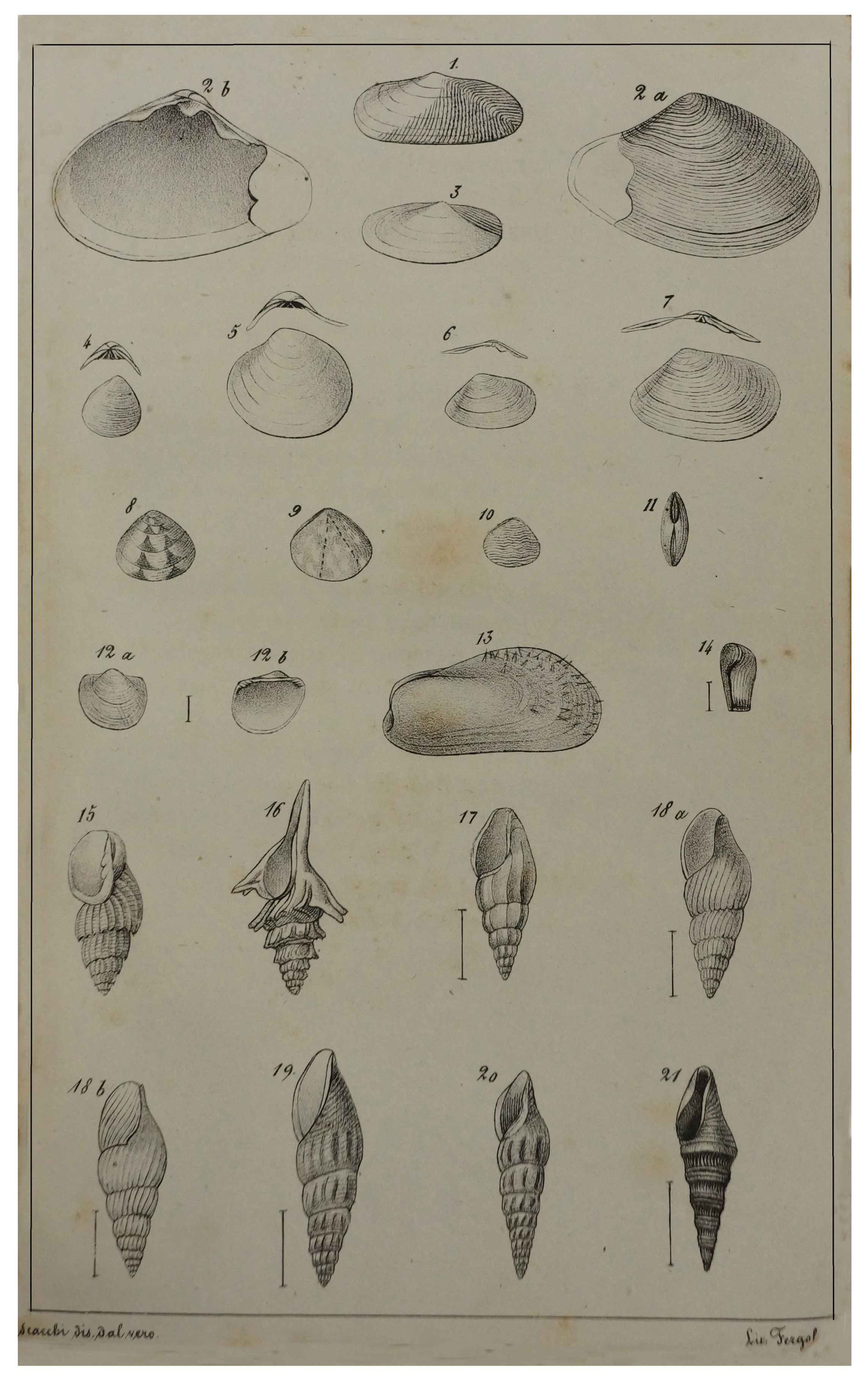 Geosciences 14 00343 g007