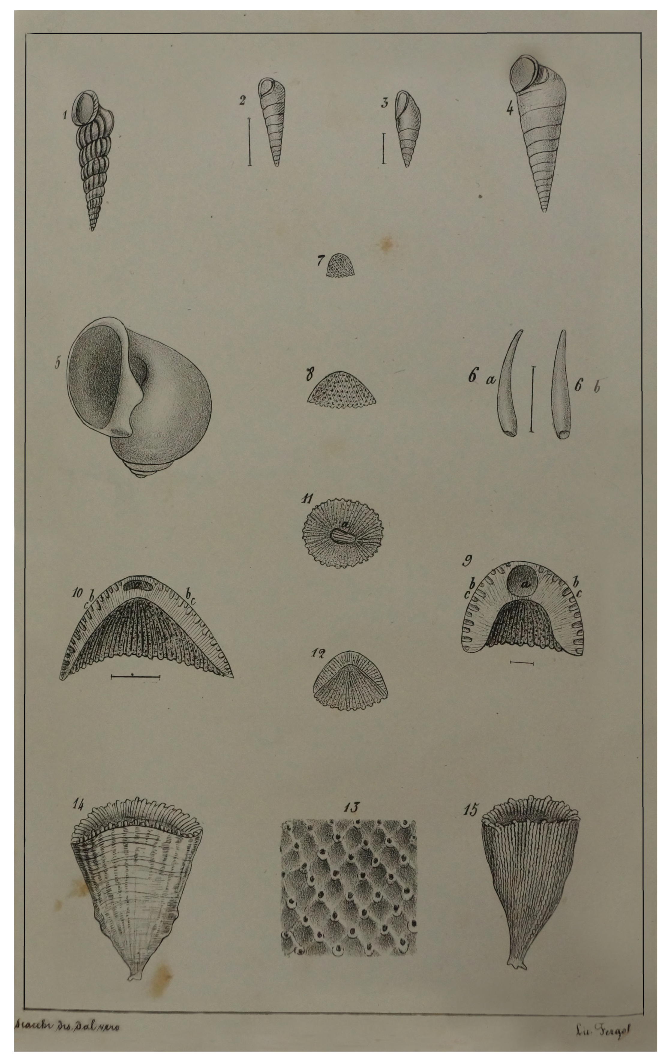 Geosciences 14 00343 g008