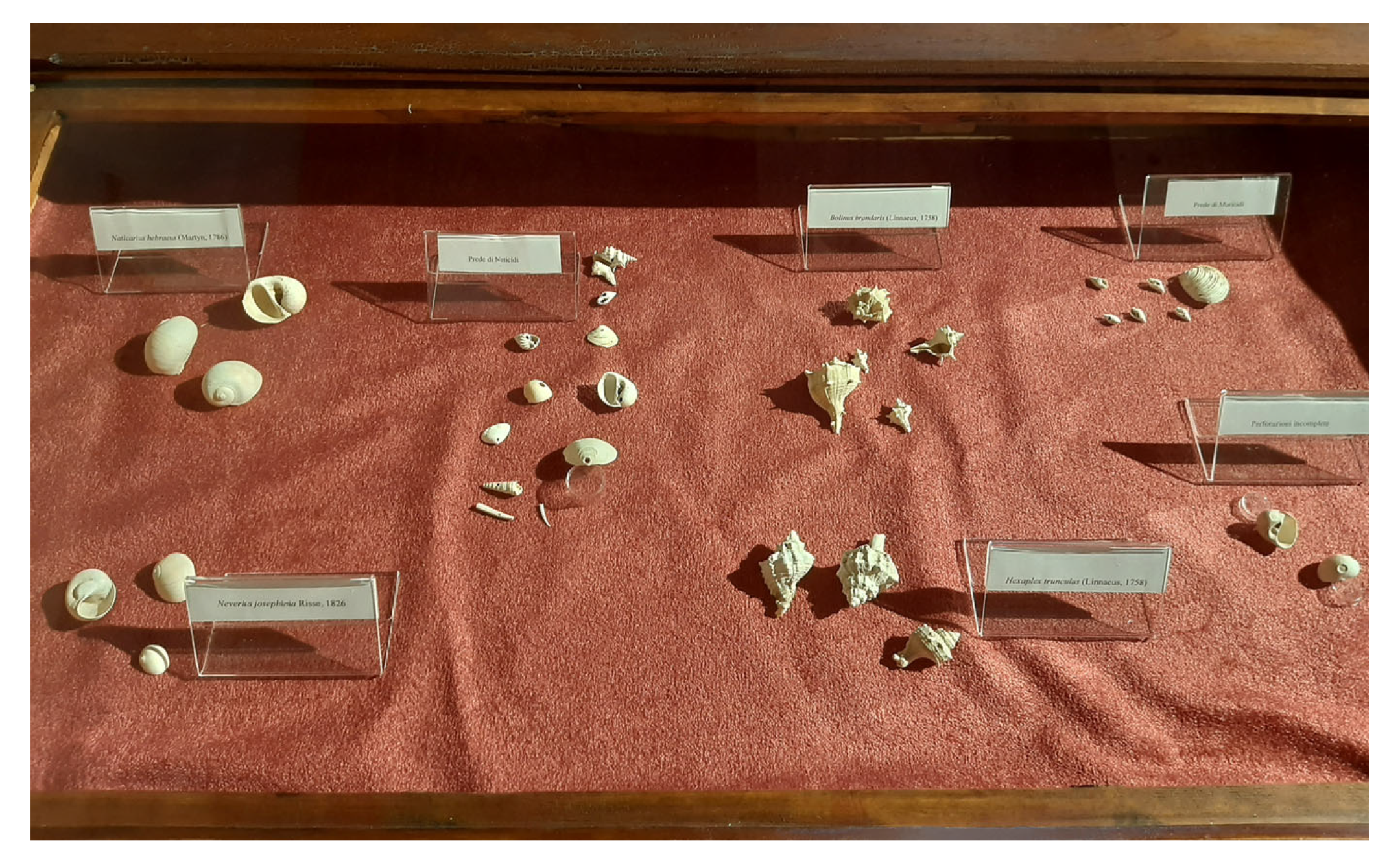 Geosciences 14 00343 g013