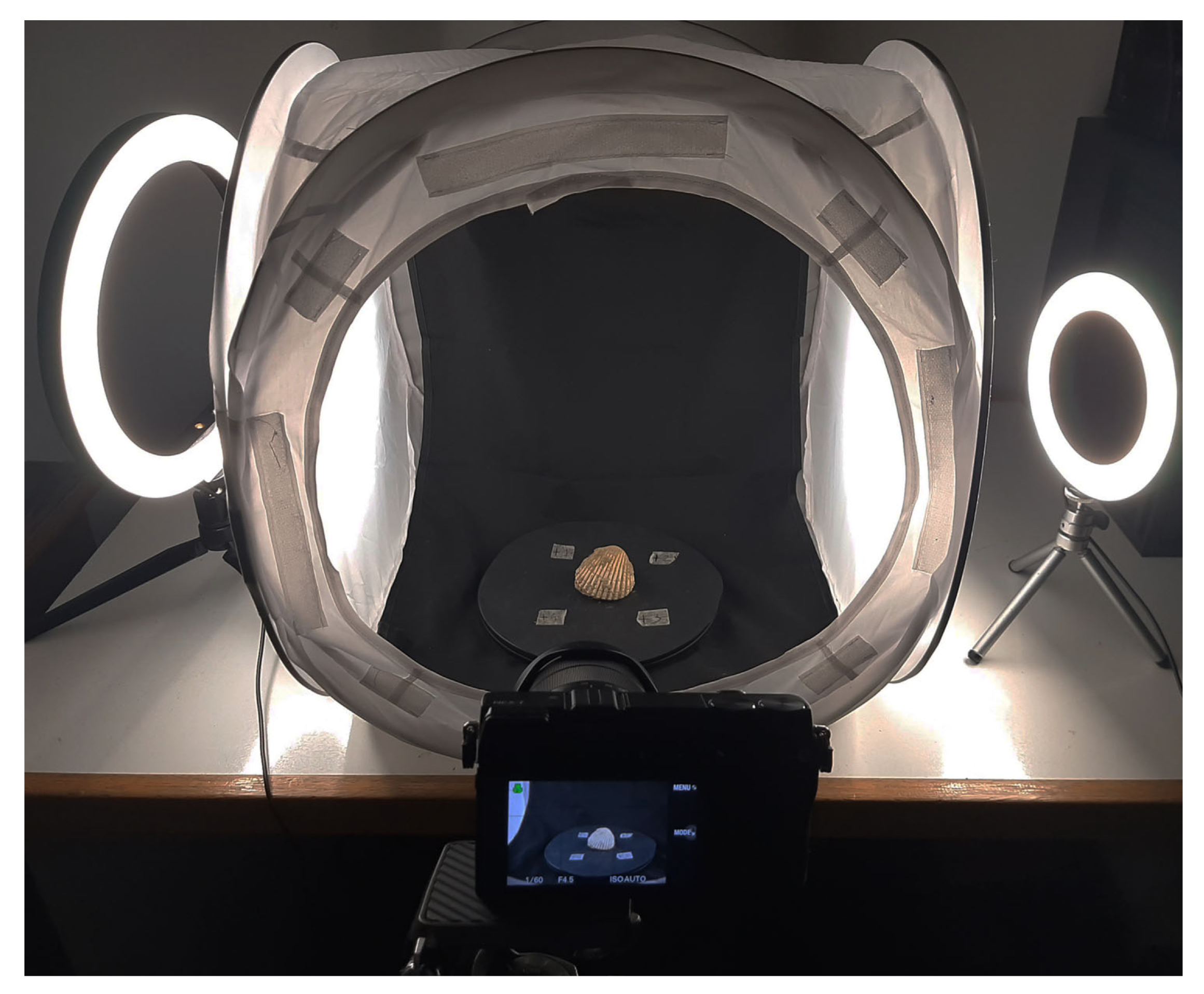 Geosciences 14 00343 g014