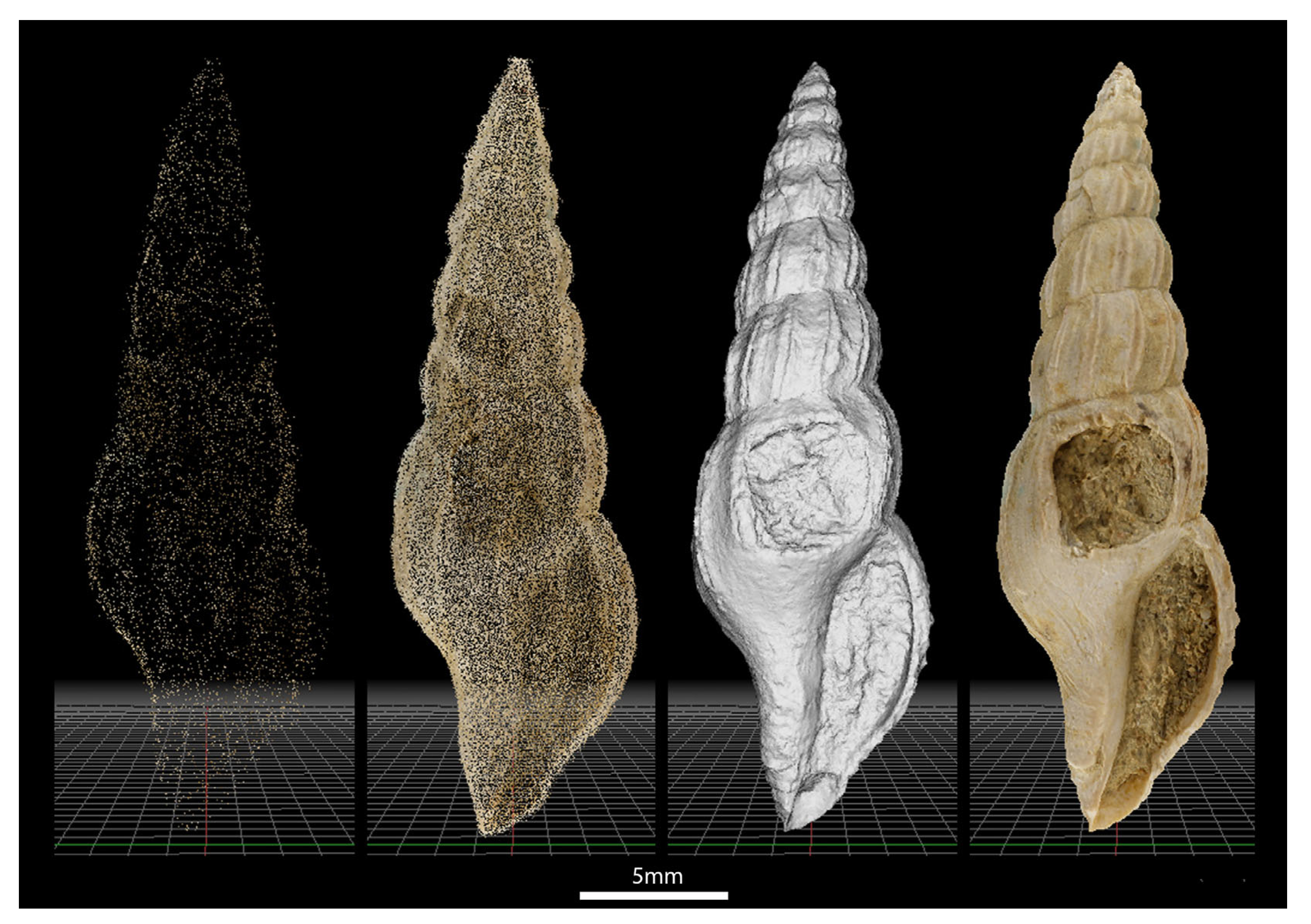 Geosciences 14 00343 g015