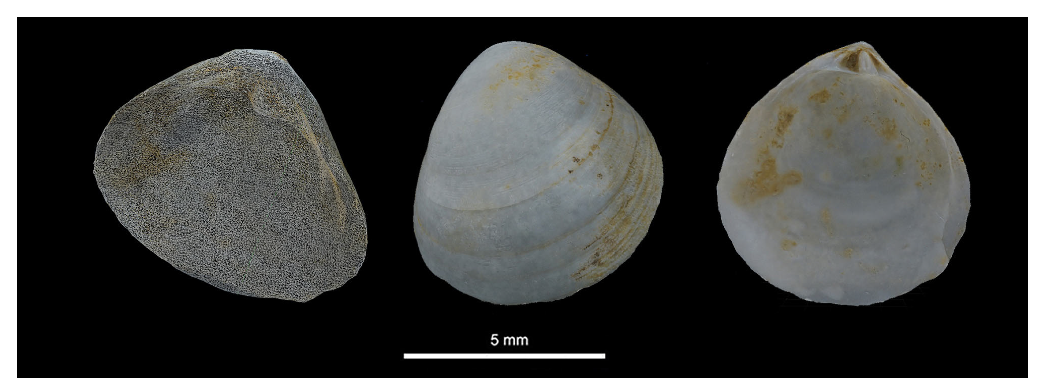 Geosciences 14 00343 g016