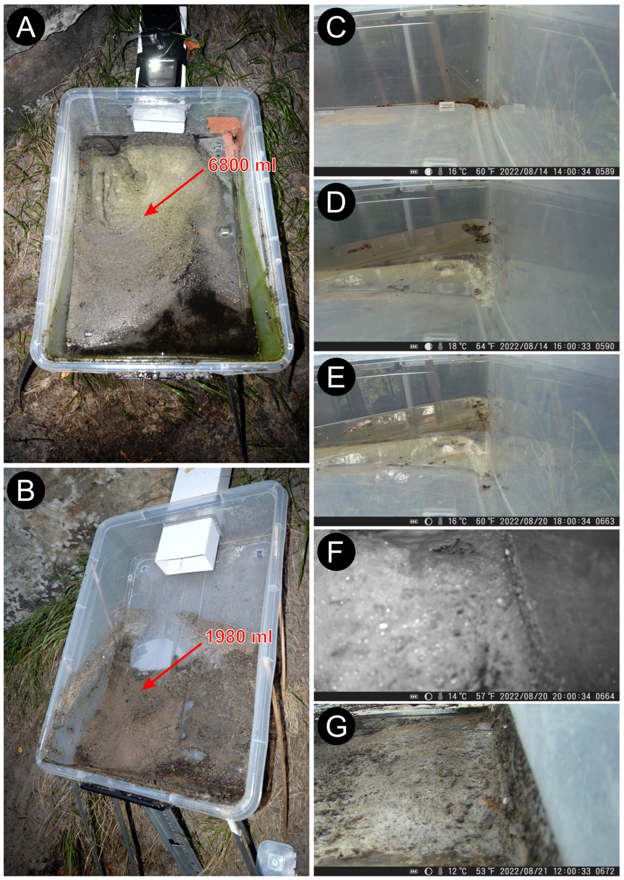 Geosciences 14 00356 g006