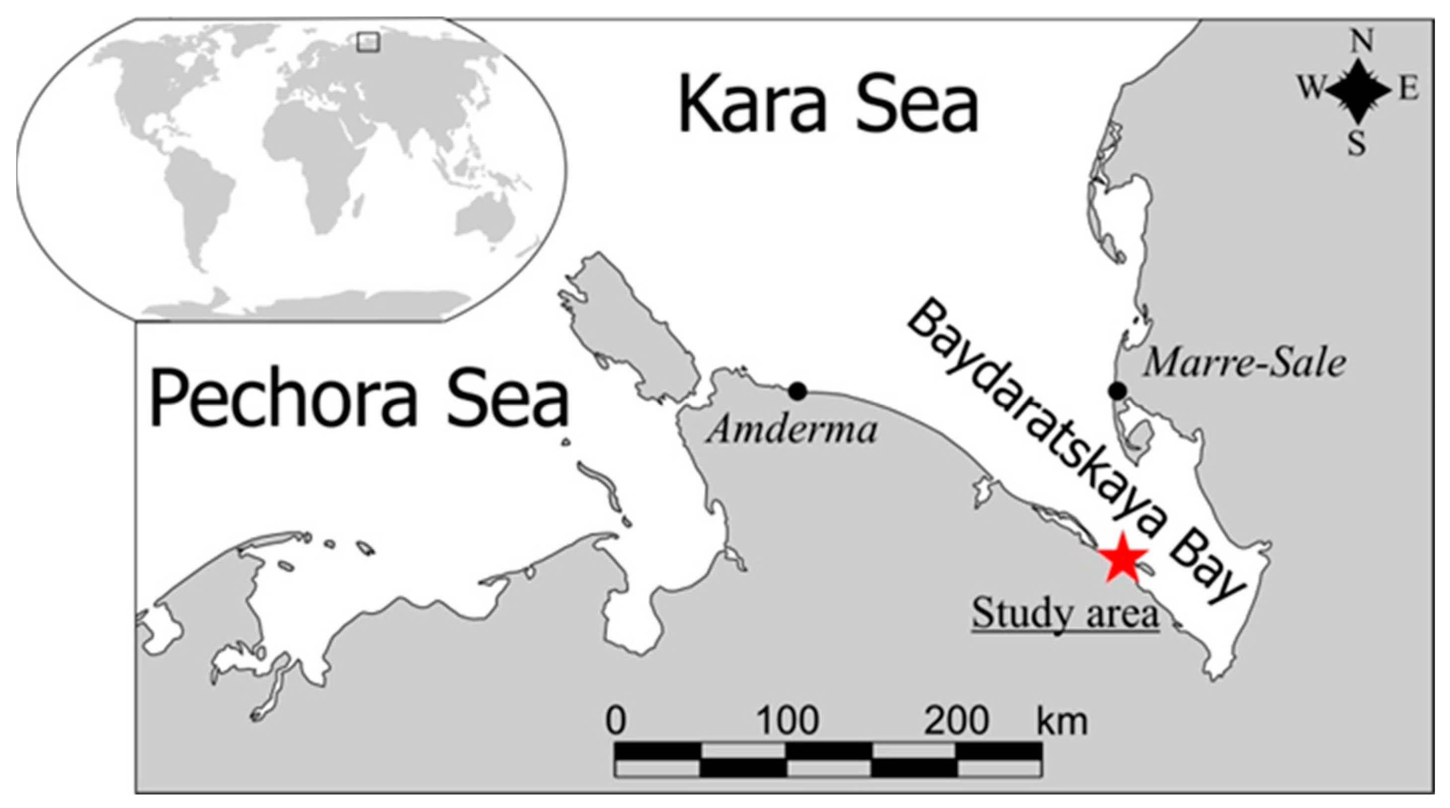 Geosciences 15 00002 g001 Geosciences 15 00002 g001