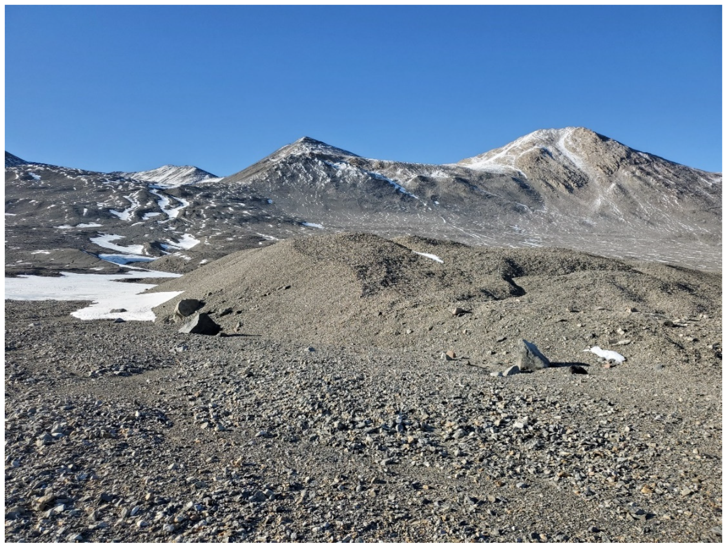 Geosciences 15 00009 g007