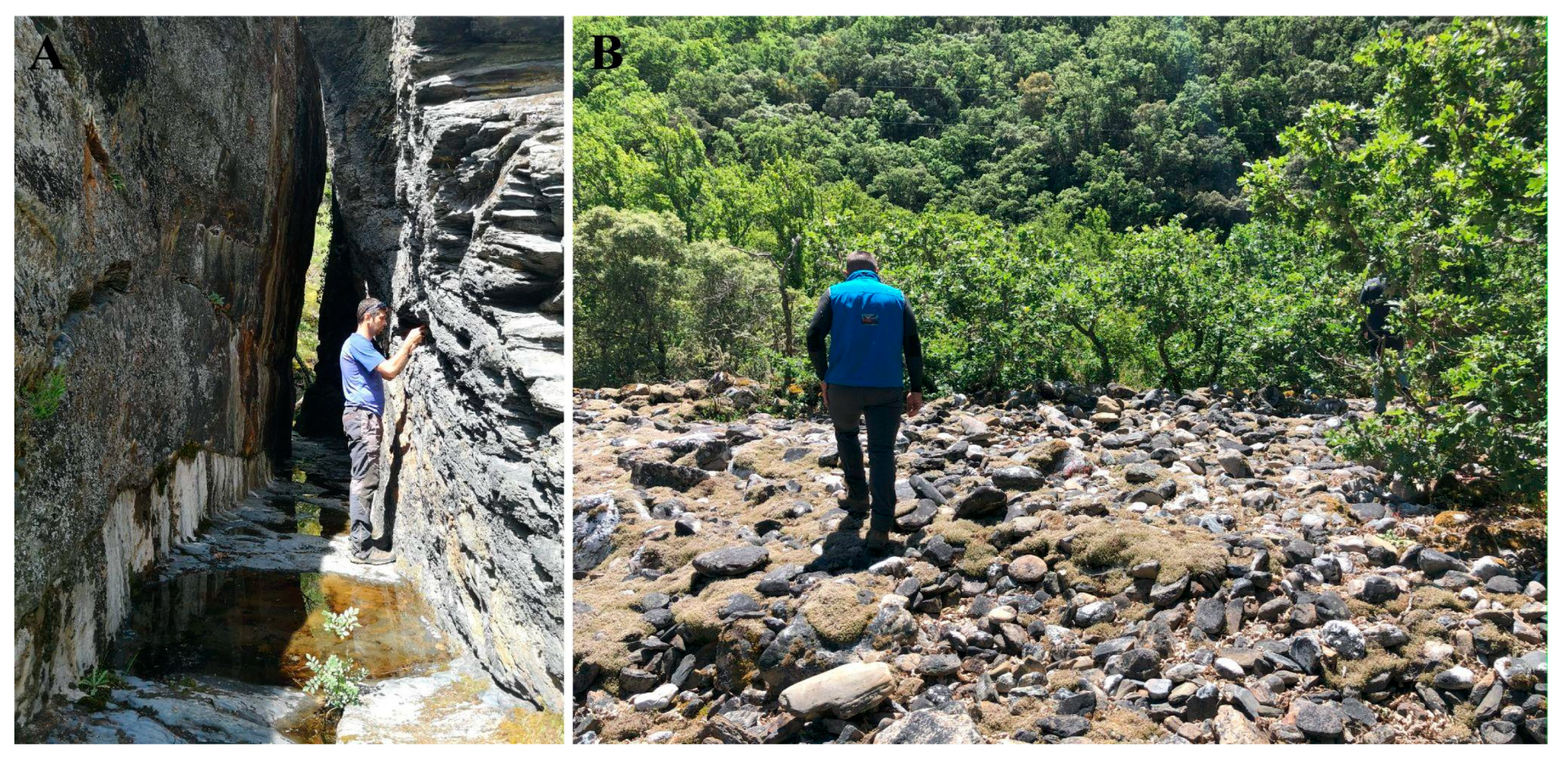 Geosciences 15 00013 g009