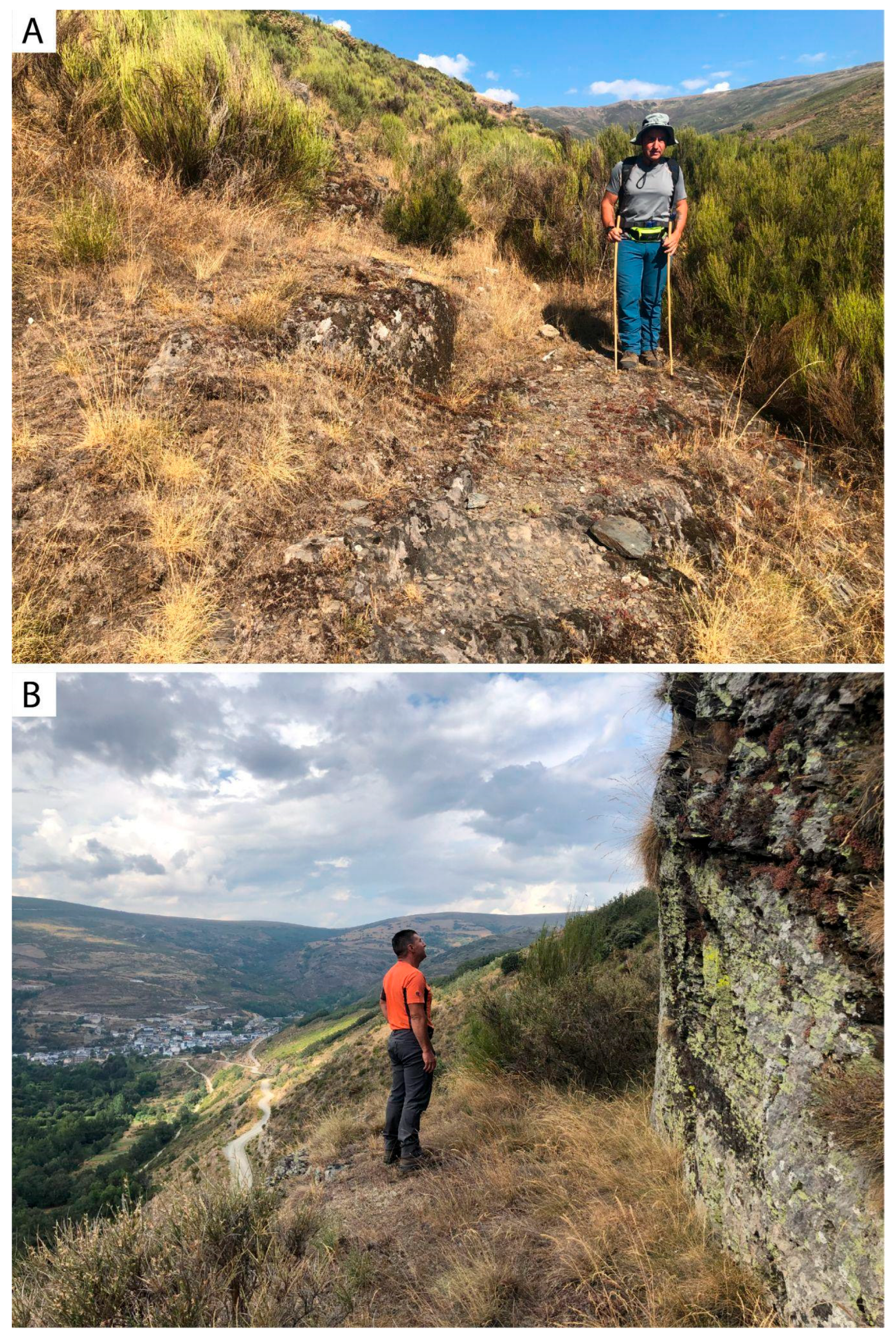 Geosciences 15 00013 g010