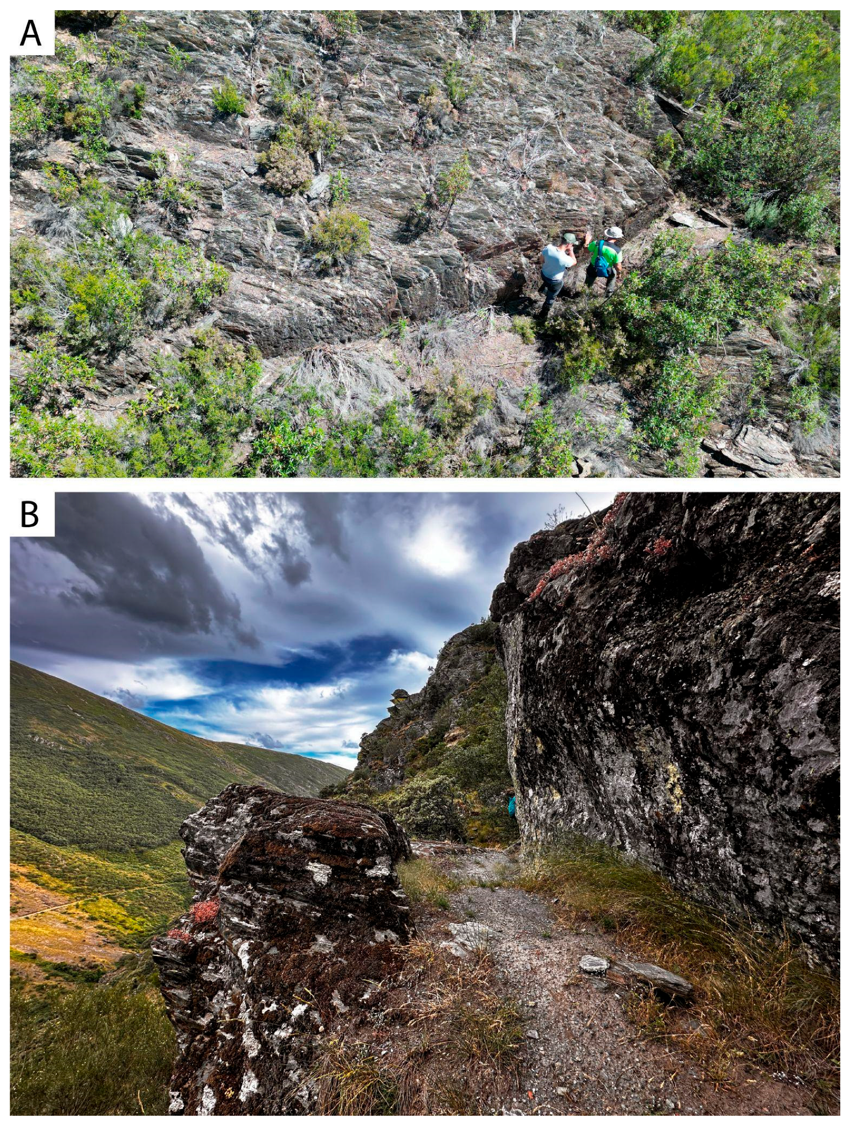 Geosciences 15 00013 g014
