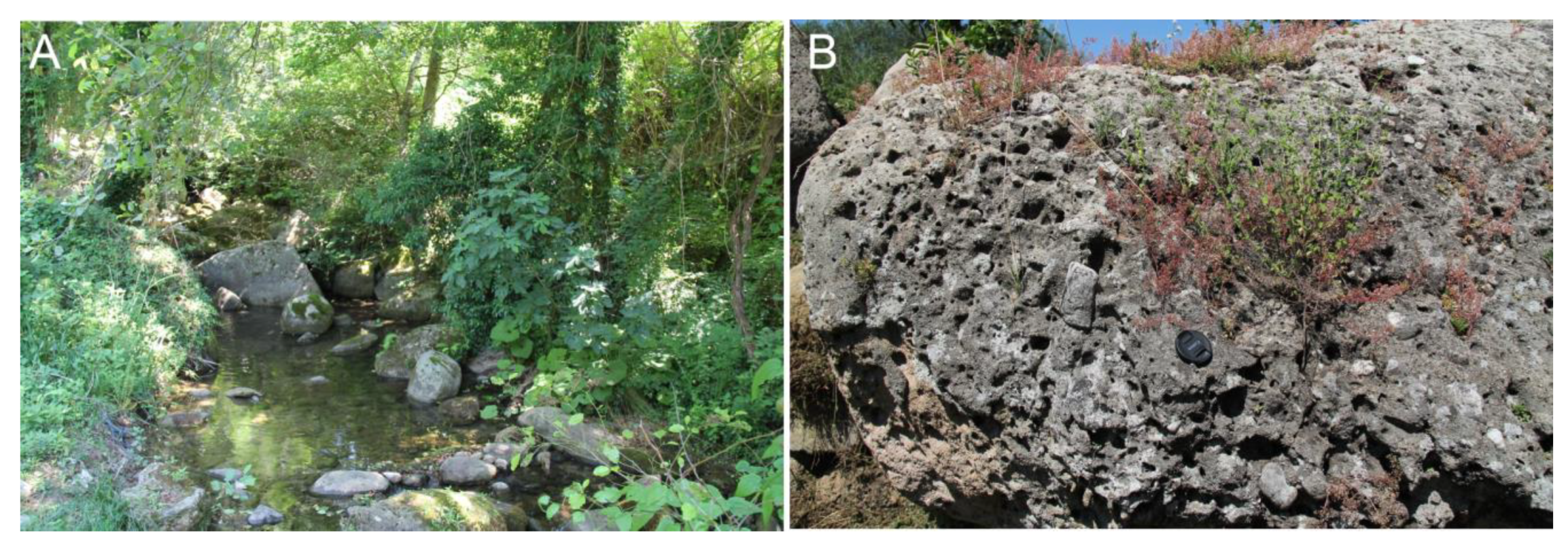 Geosciences 15 00025 g004