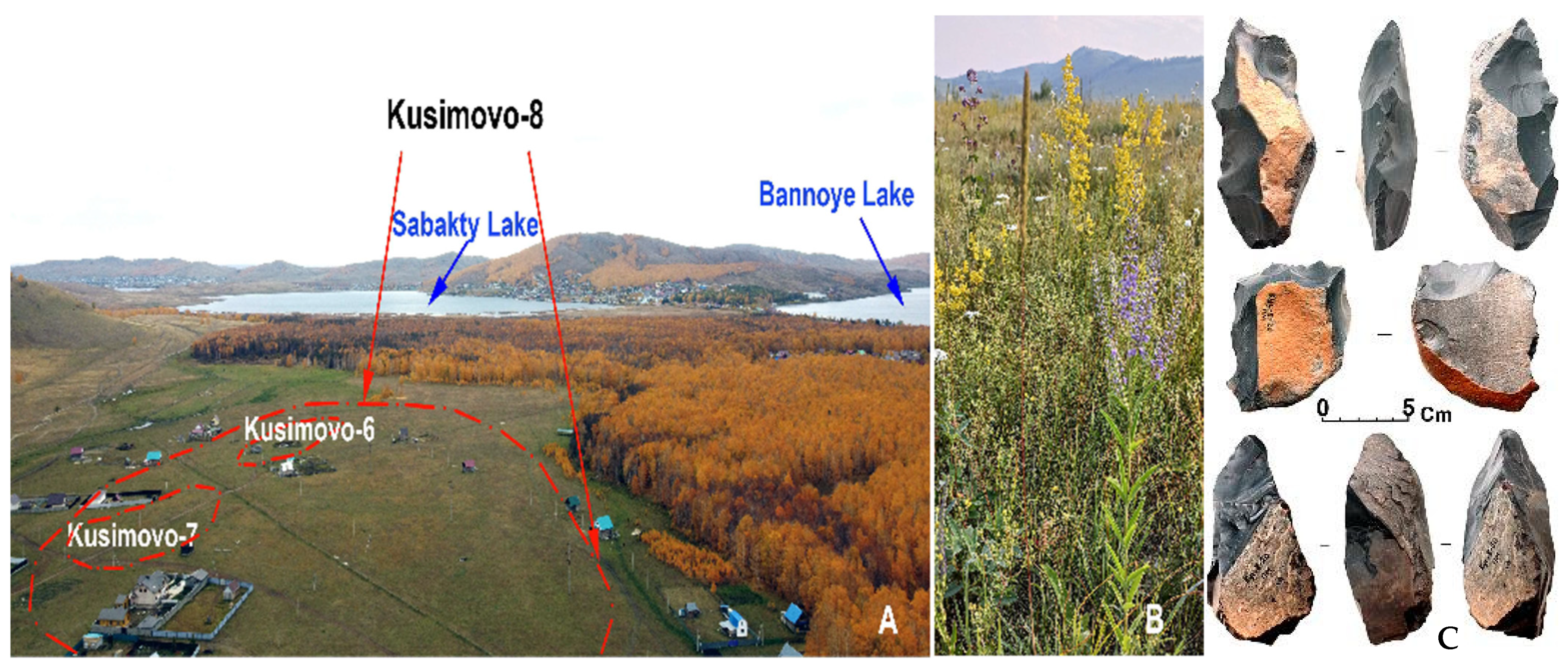 Geosciences 15 00031 g002