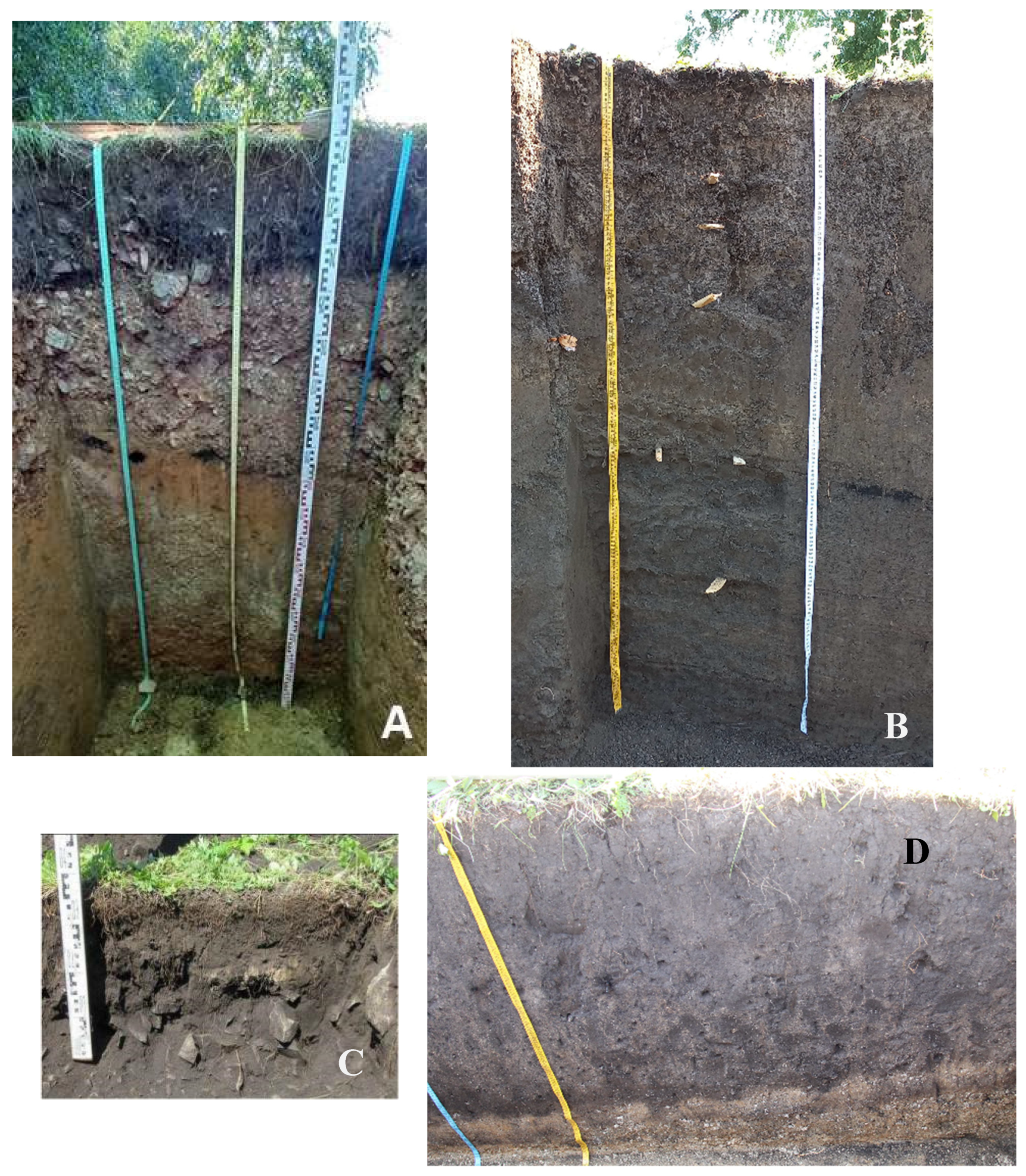 Geosciences 15 00031 g003