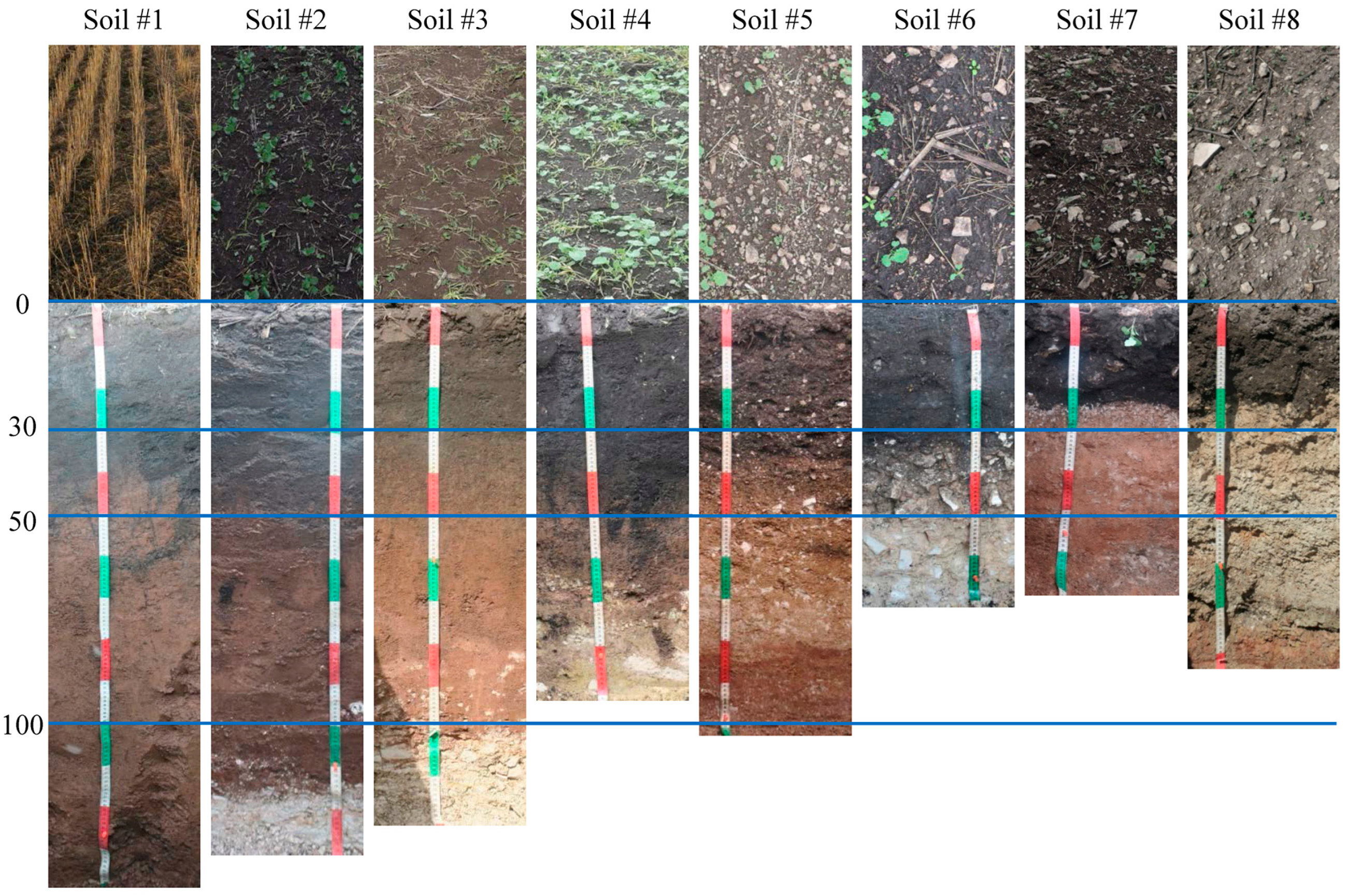 Geosciences 15 00032 g005