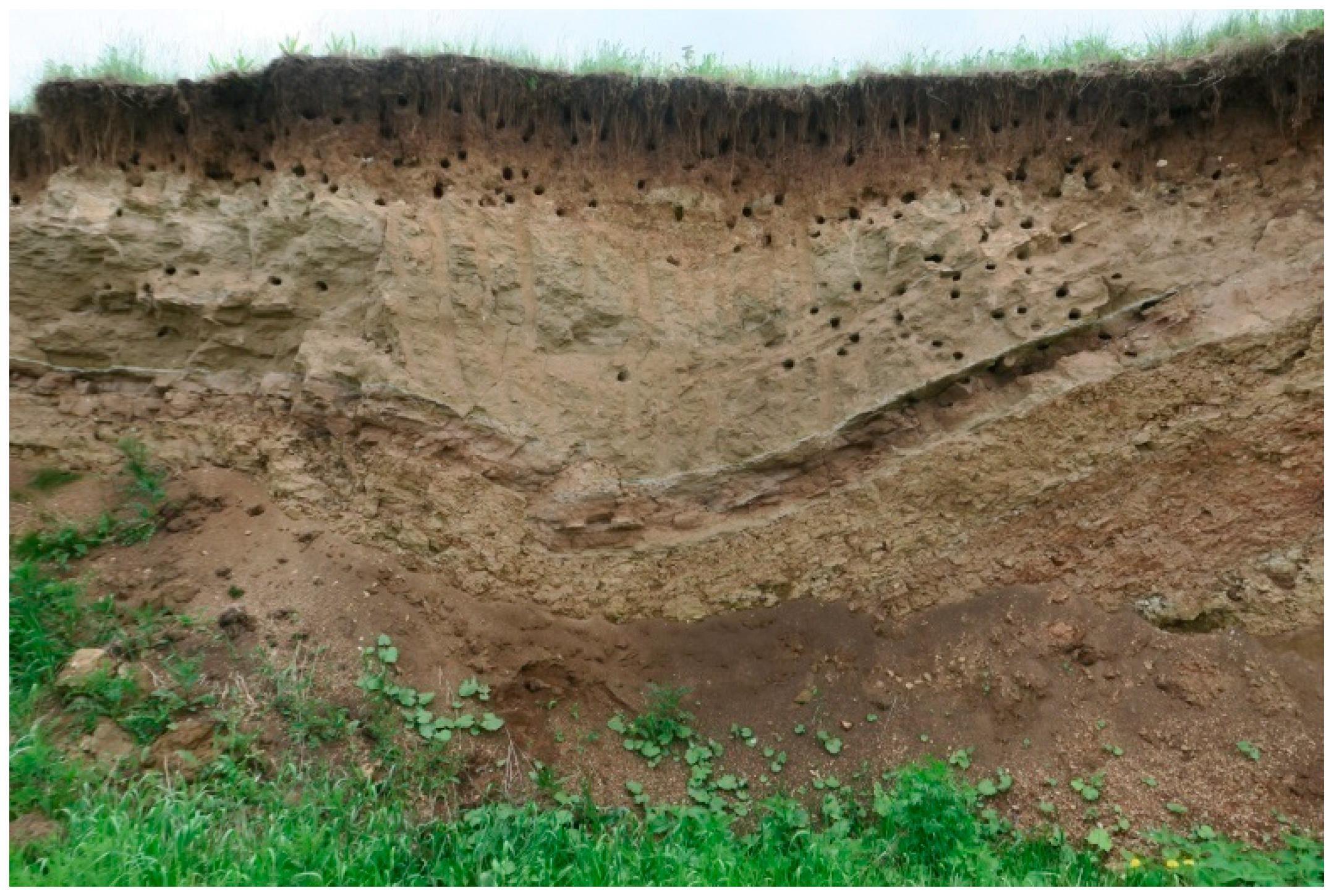 Geosciences 15 00032 g012