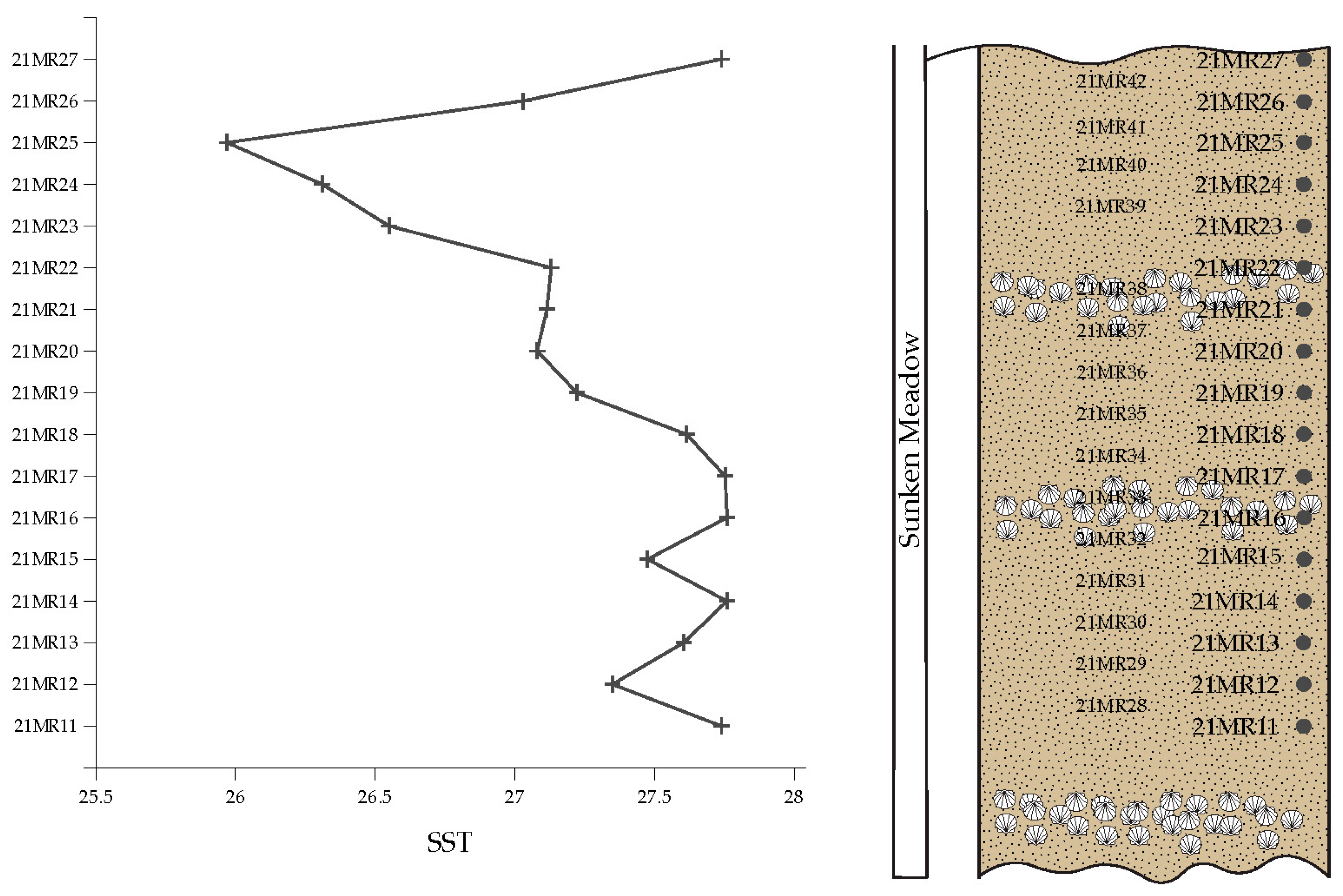Geosciences 15 00039 g004