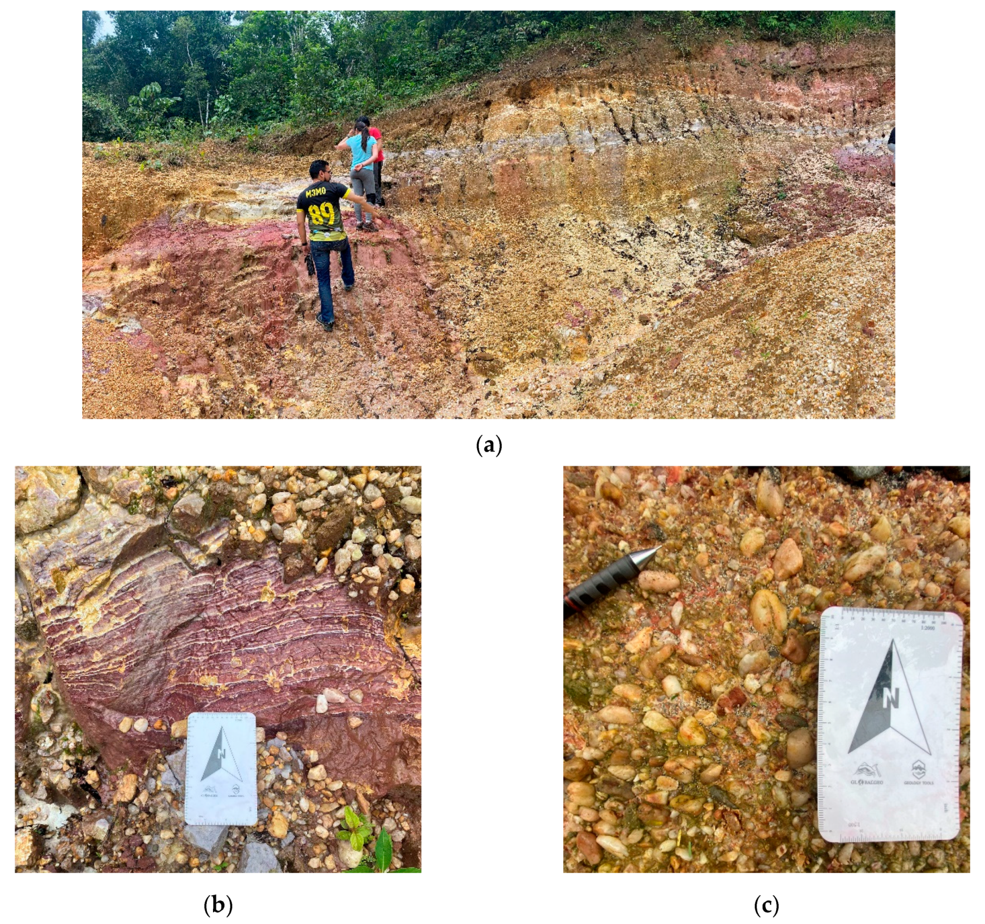 Geosciences 15 00043 g005a