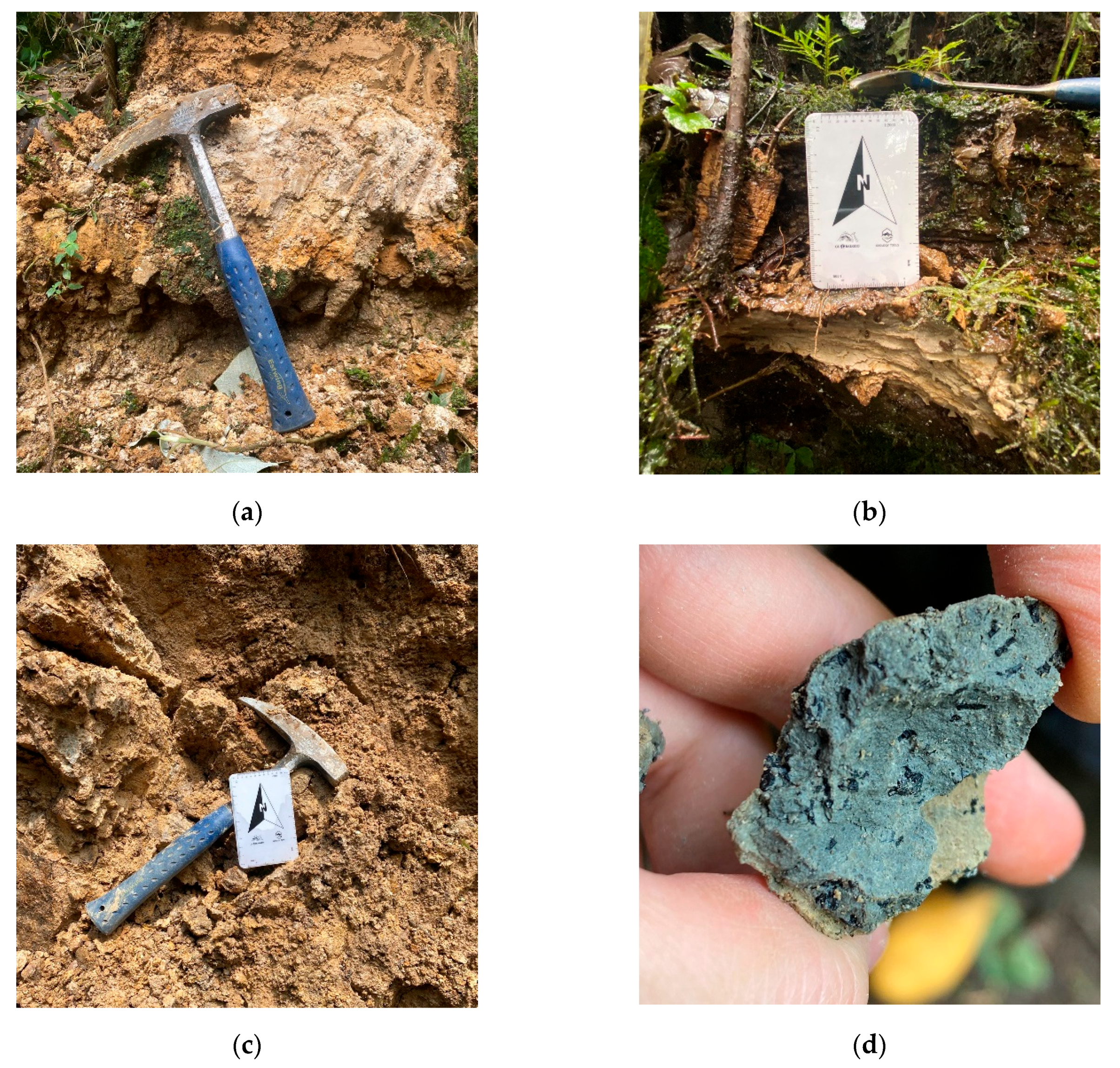 Geosciences 15 00043 g006a