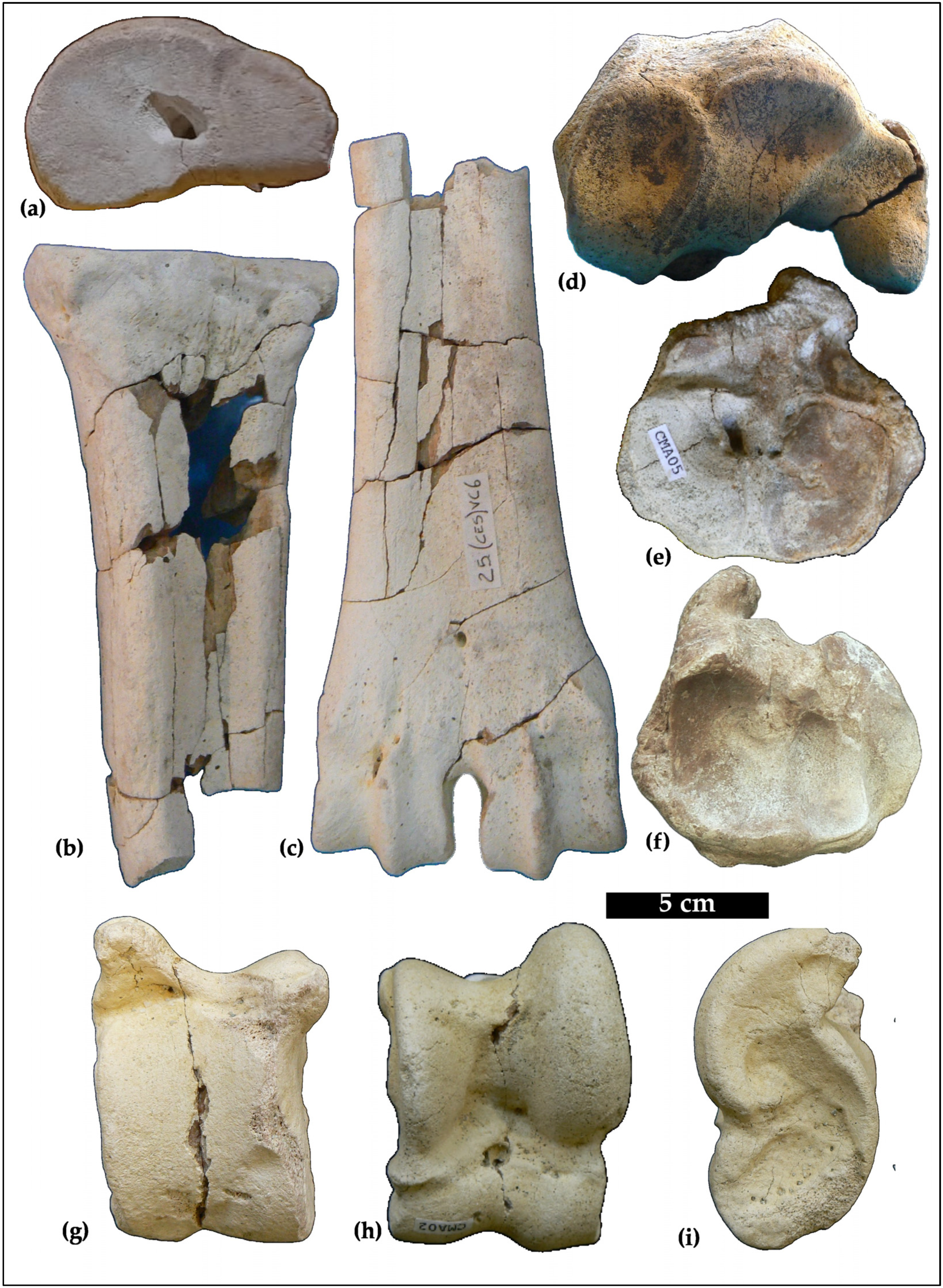 Geosciences 15 00044 g004