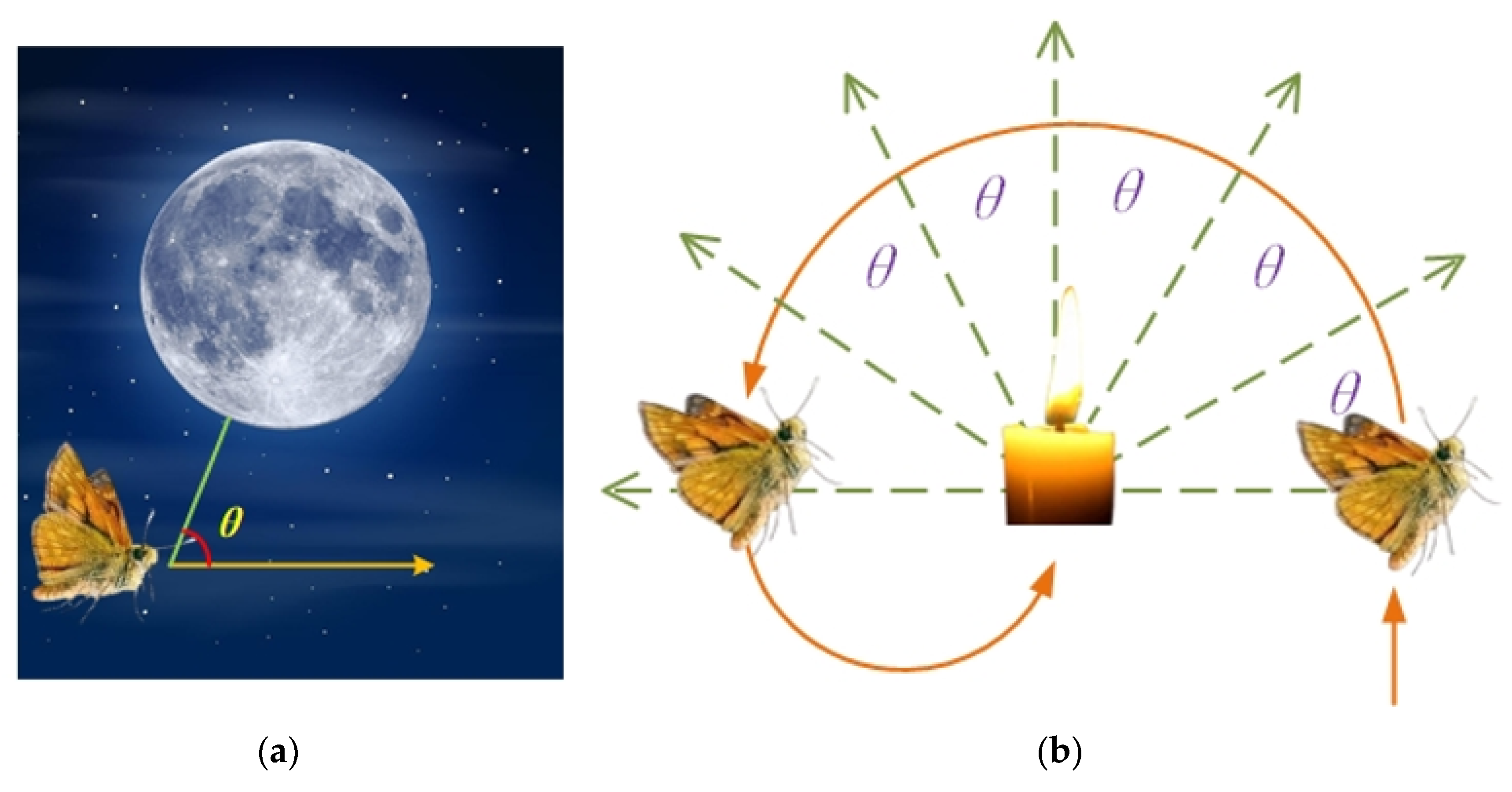 Geosciences 15 00047 g002