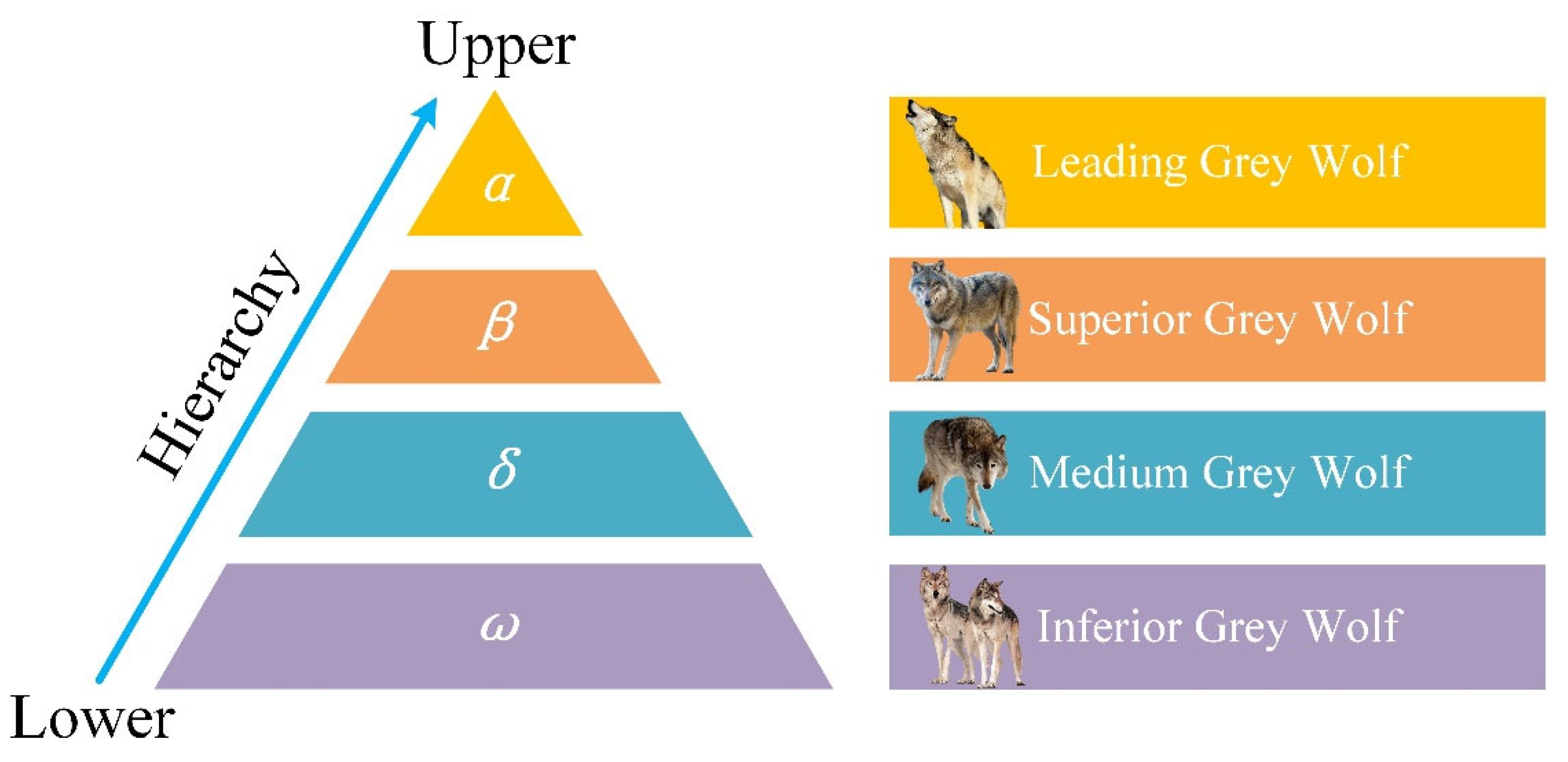Geosciences 15 00047 g003