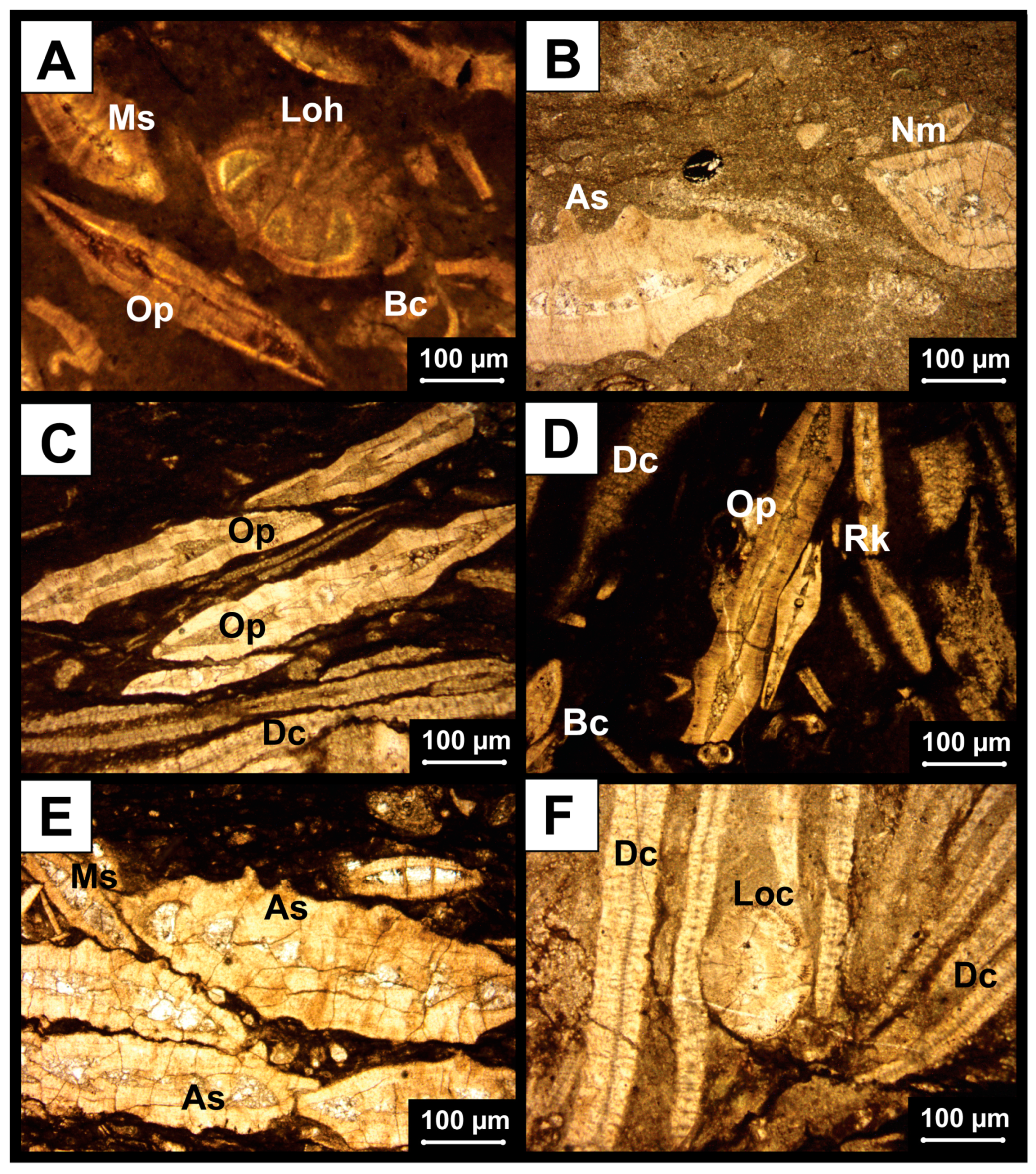 Geosciences 15 00063 g009