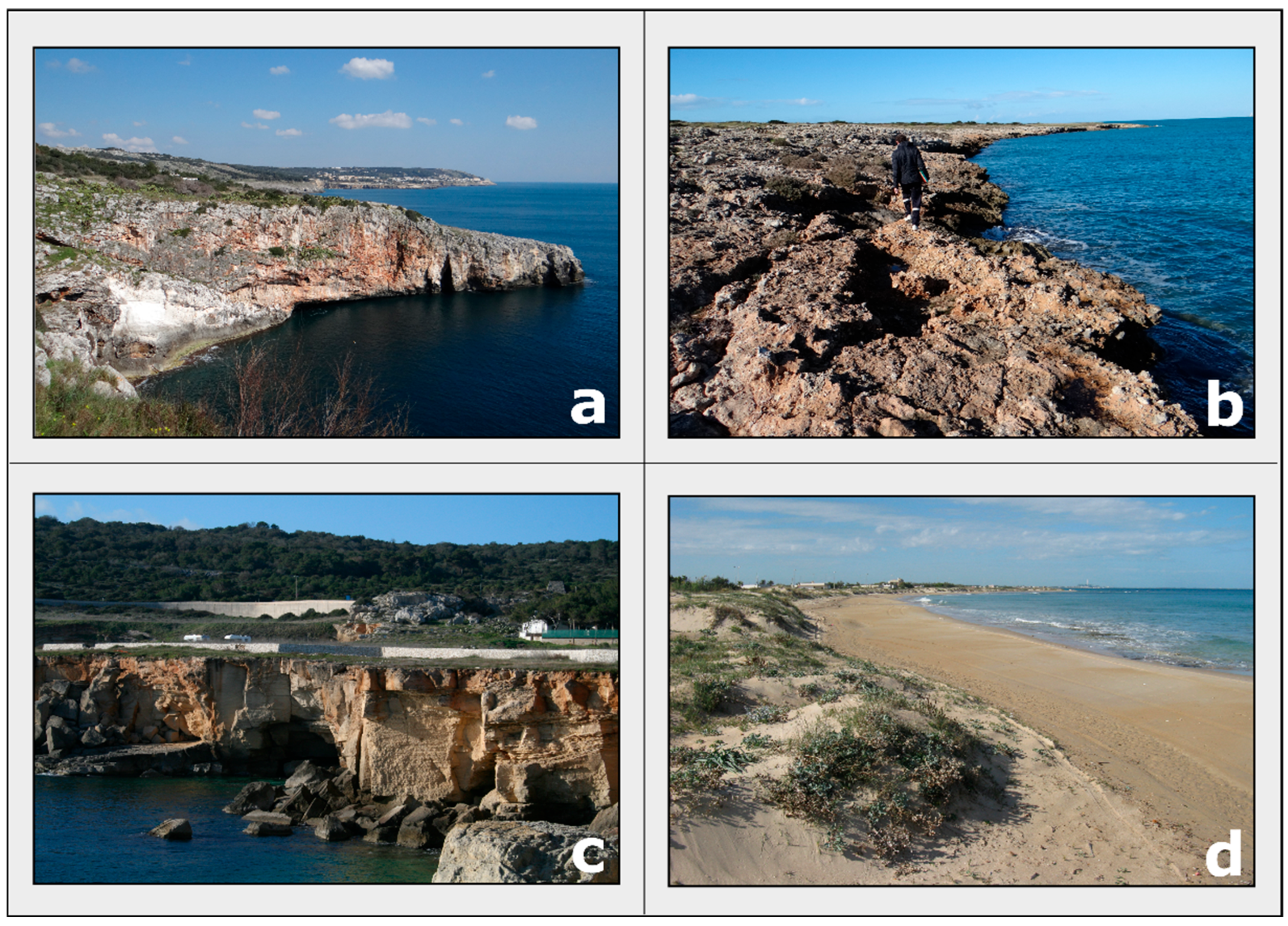 Geosciences 15 00066 g004