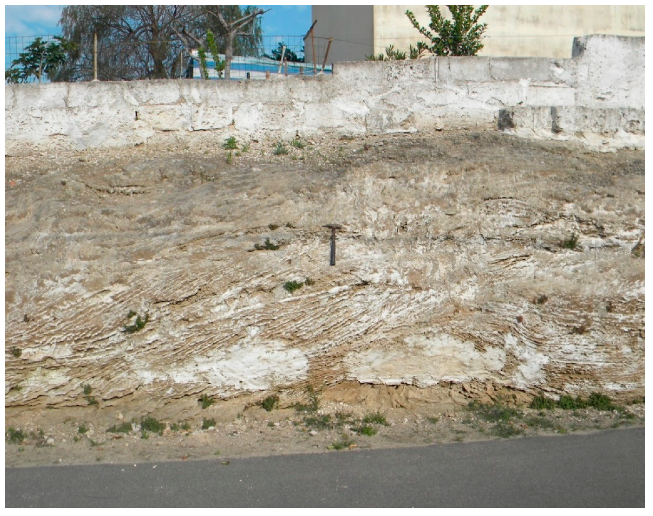 Geosciences 15 00066 g006