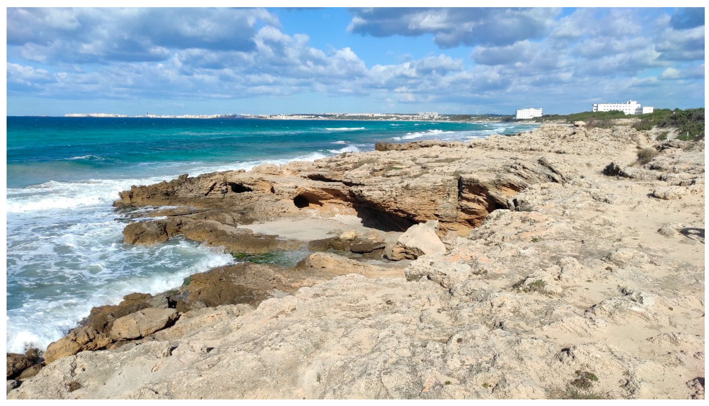 Geosciences 15 00066 g007