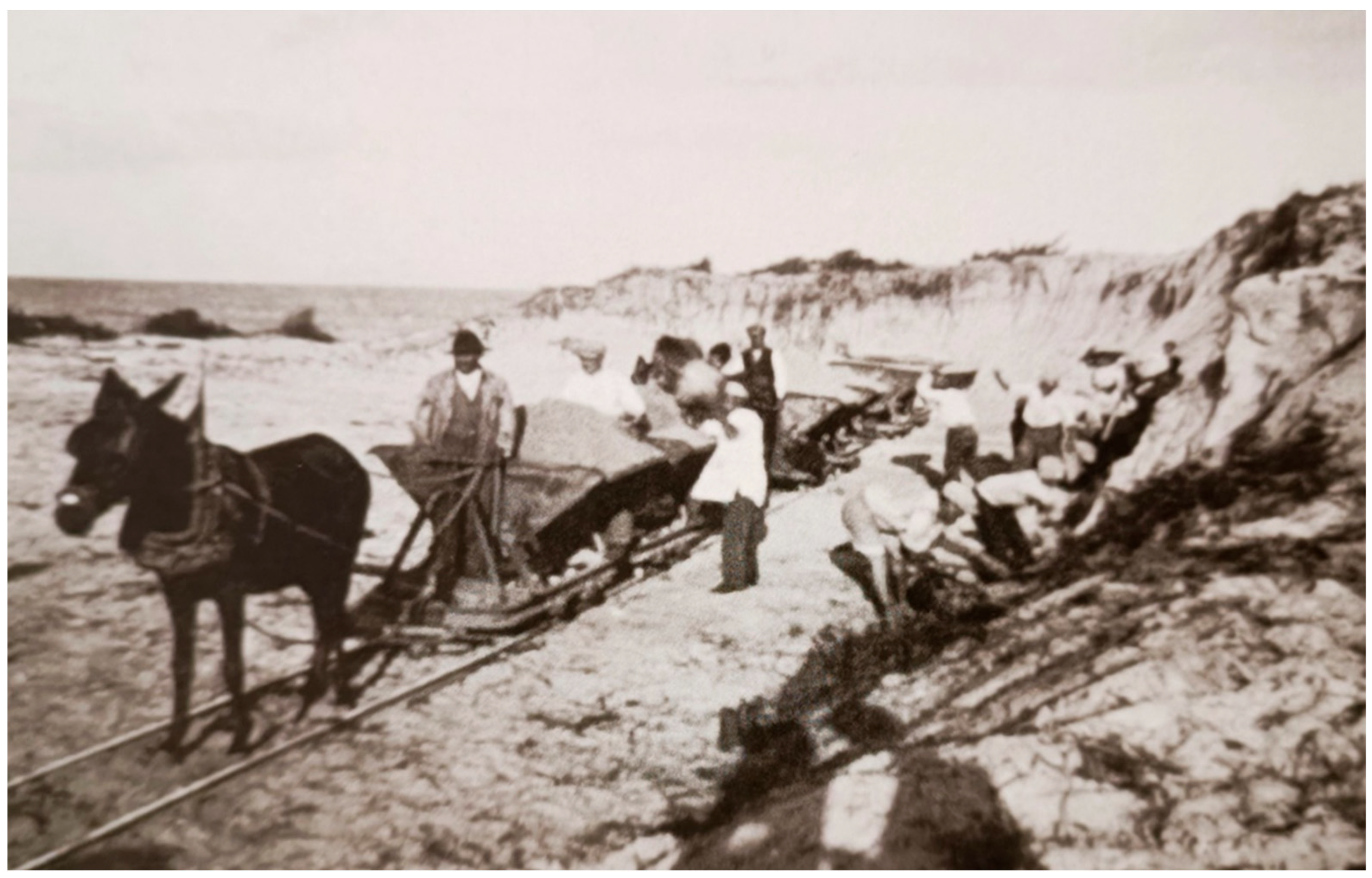 Geosciences 15 00066 g015