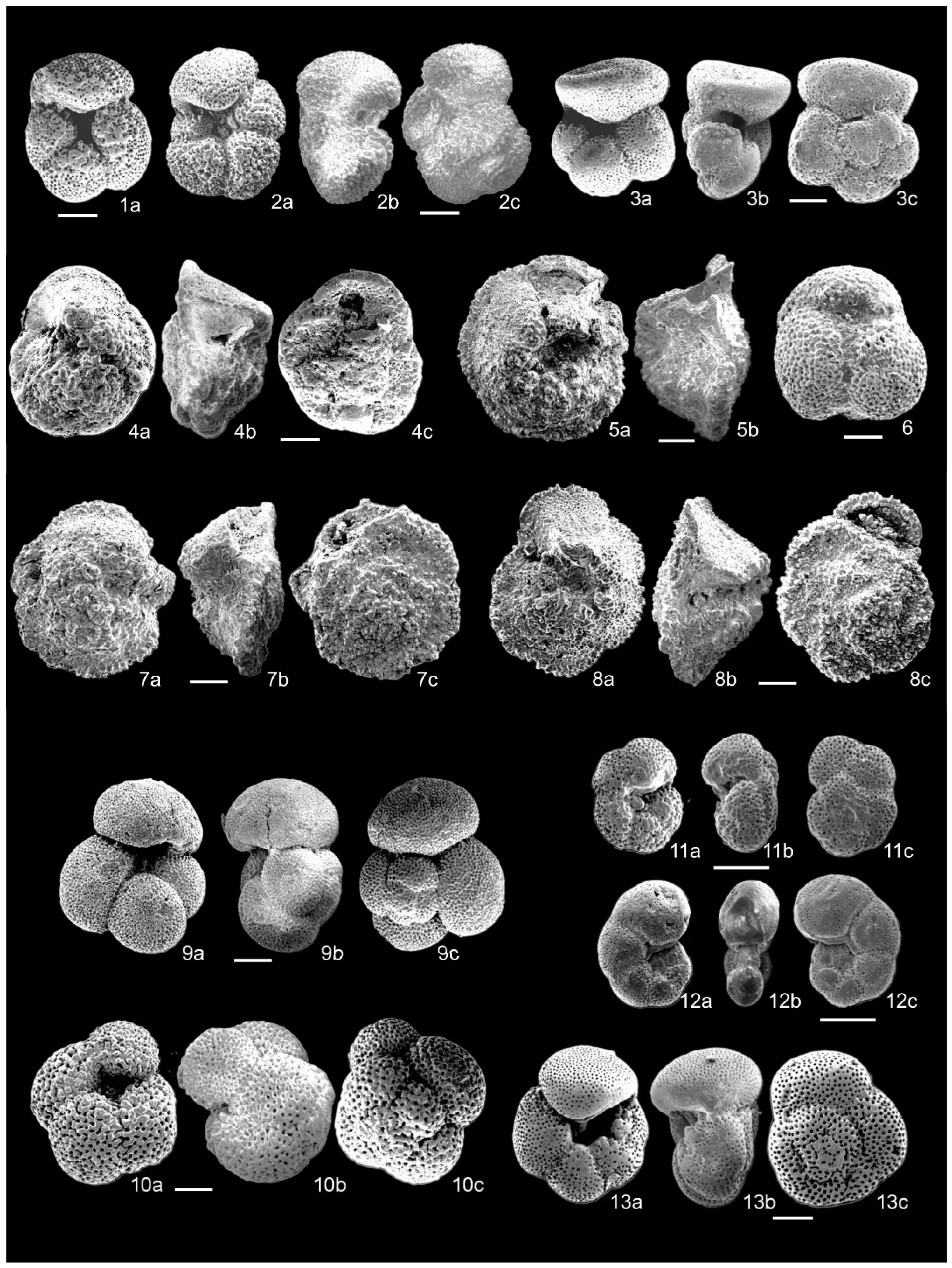Geosciences 15 00081 g004