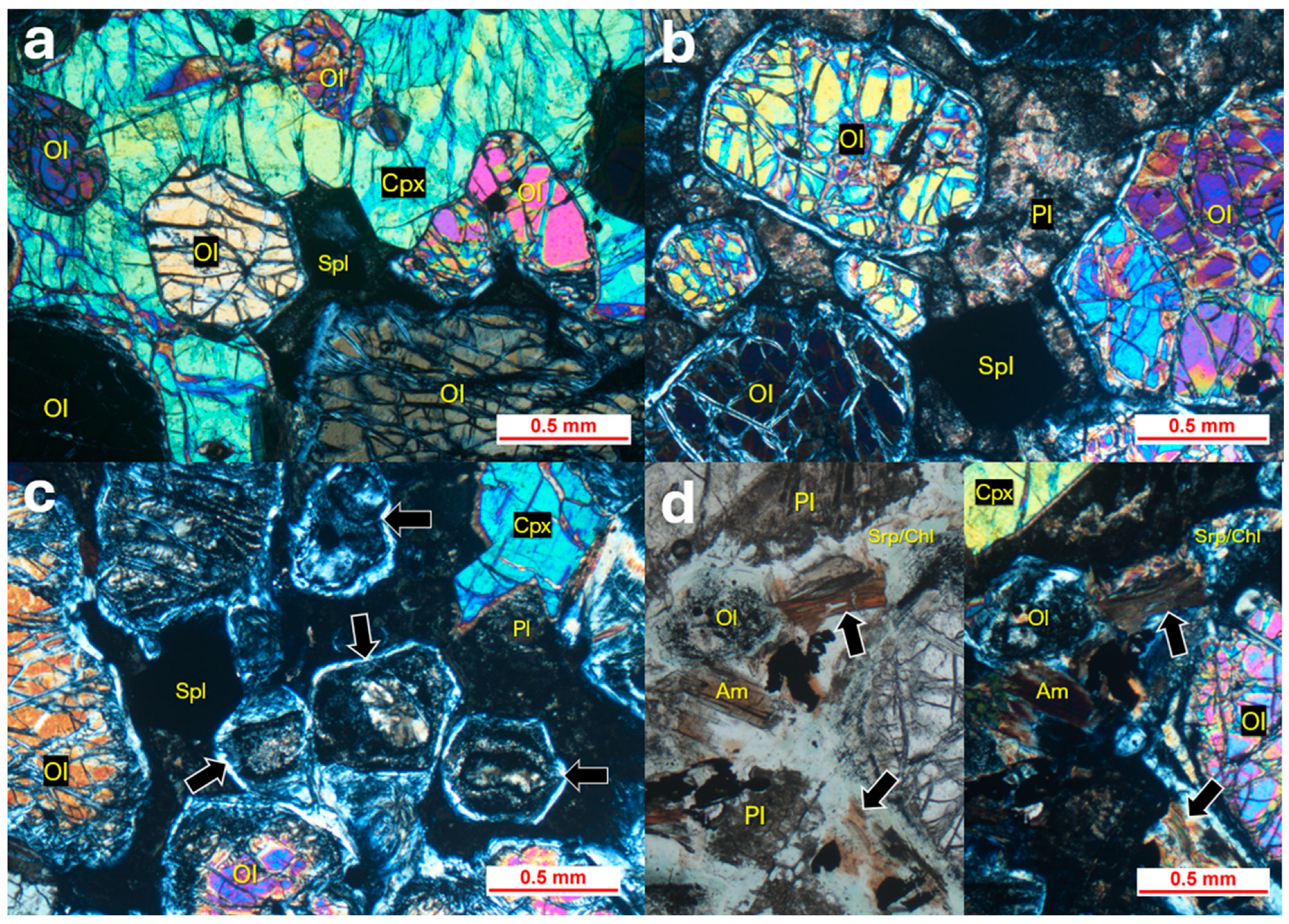 Geosciences 15 00089 g006