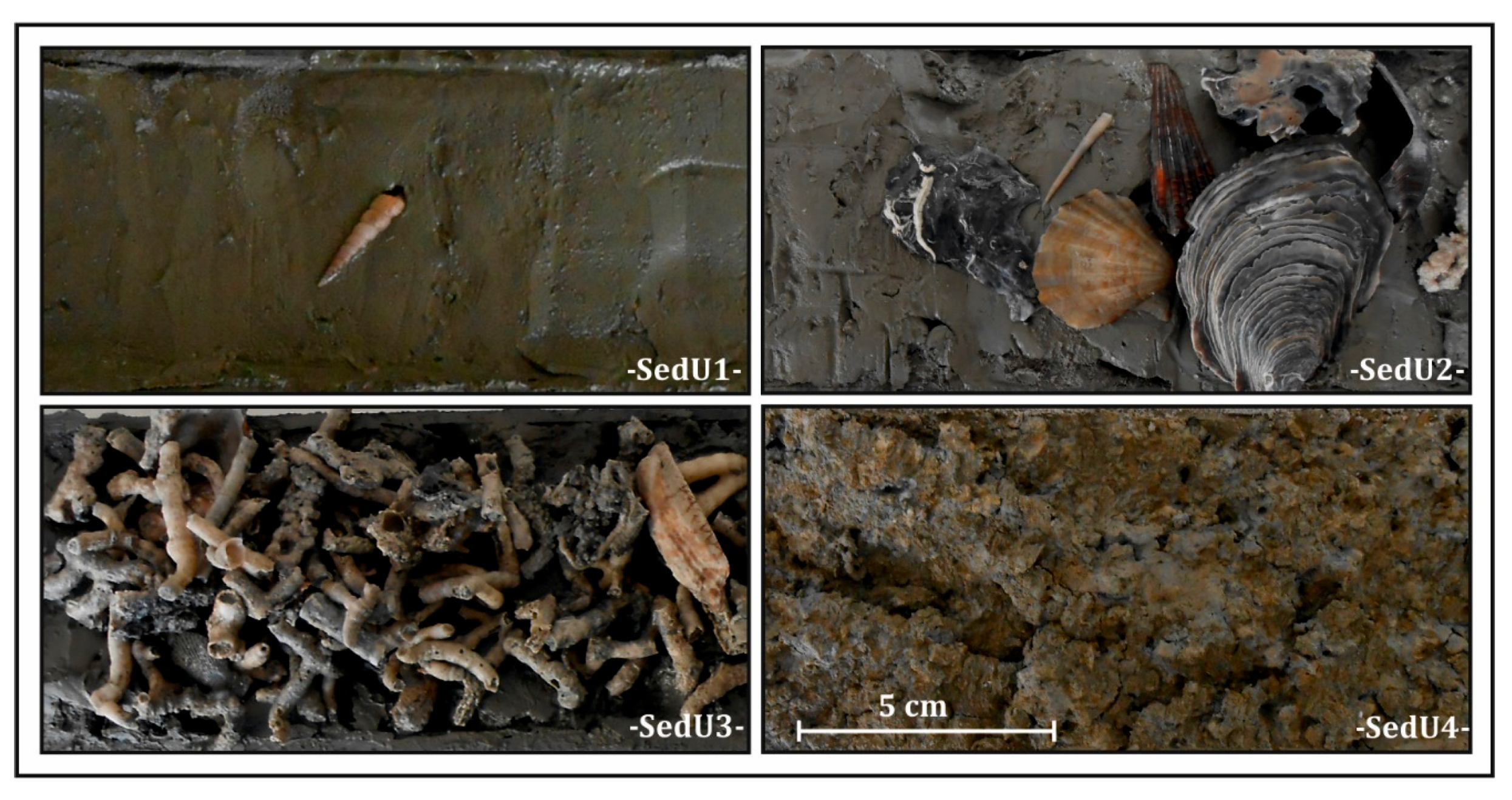 Geosciences 15 00105 g008