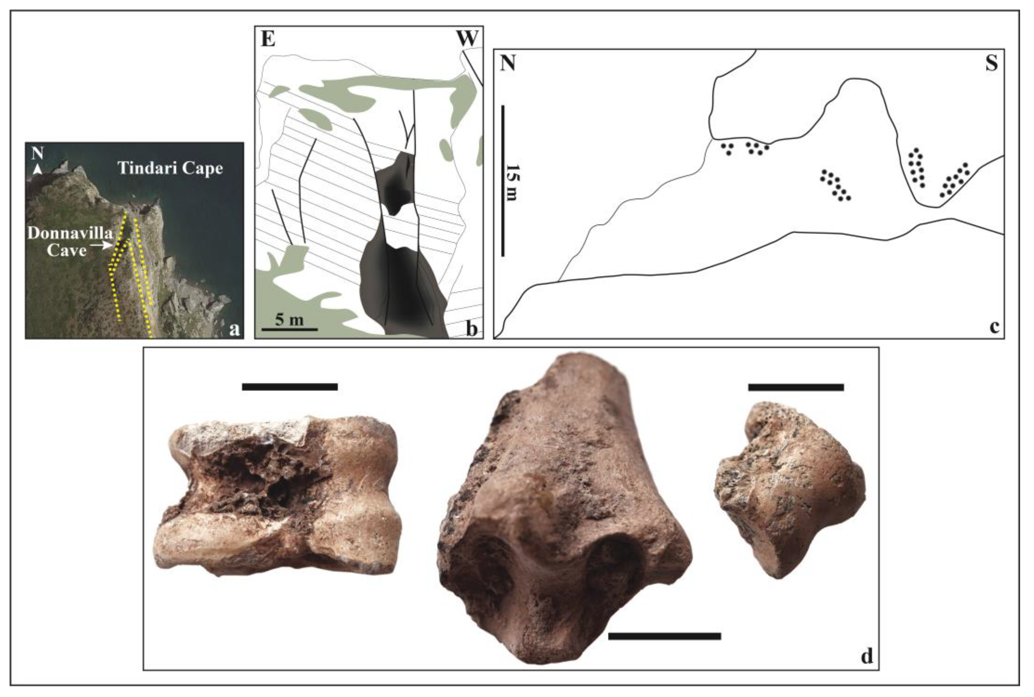 Geosciences 15 00125 g015