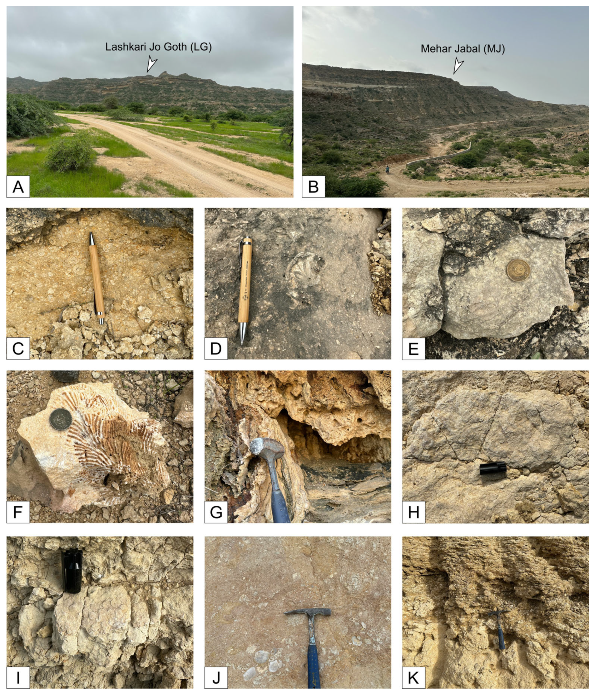 Geosciences 15 00129 g004